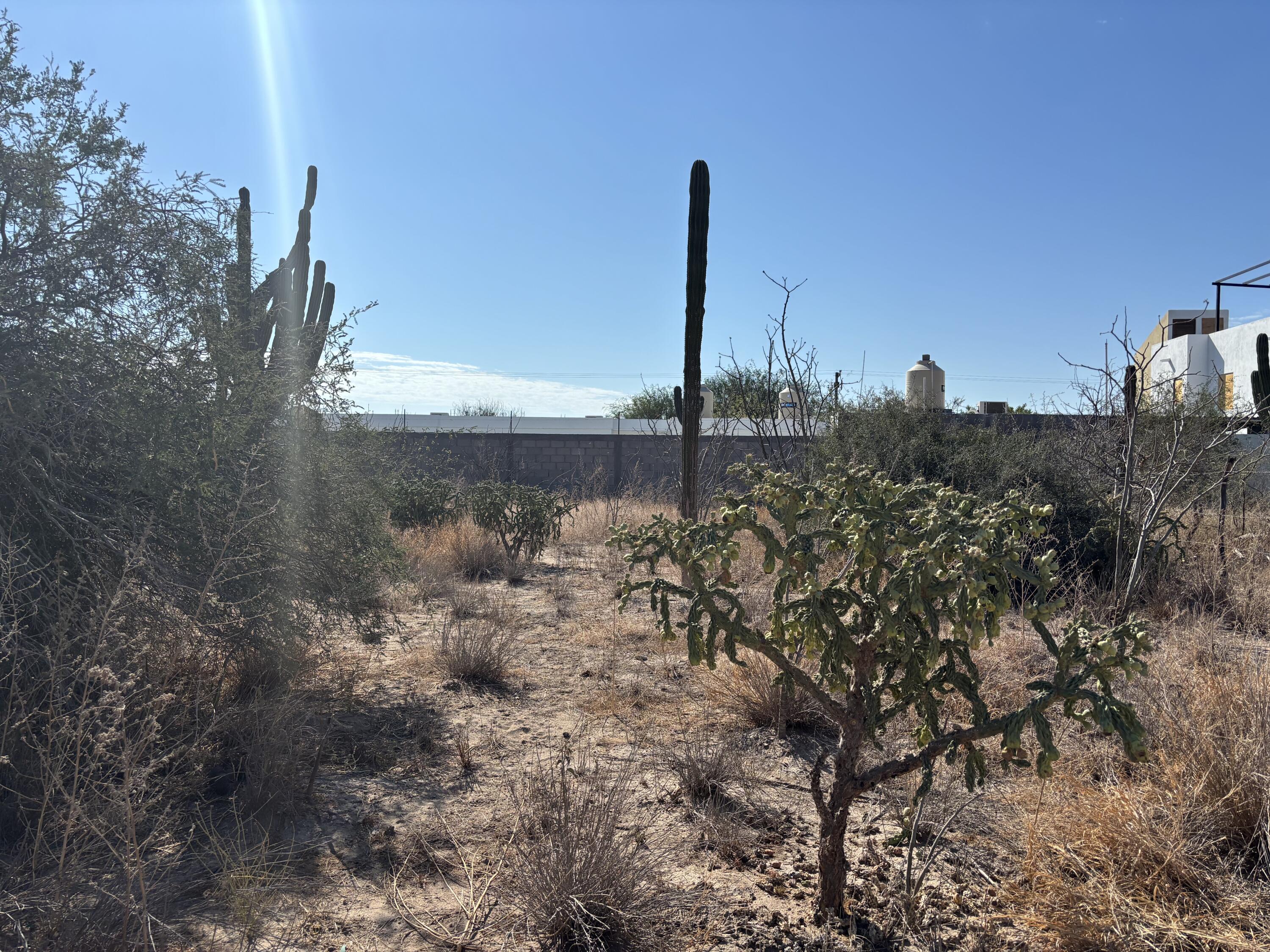 - Calle 2 Comitán Lot La Paz BCS MLS #24-4328 44 MLS #24-4328 image #3