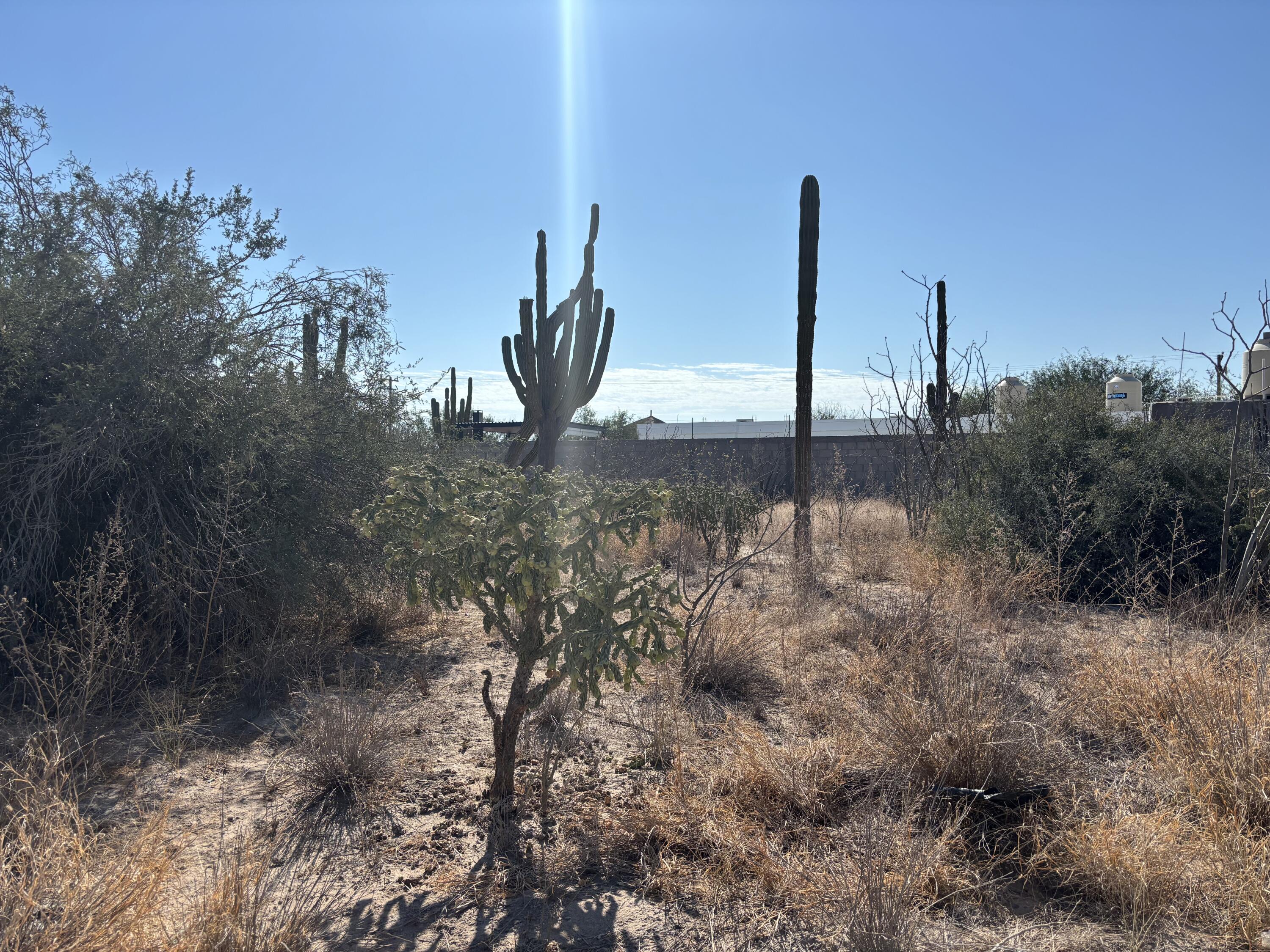 - Calle 2 Comitán Lot La Paz BCS MLS #24-4328 45 MLS #24-4328 image #4