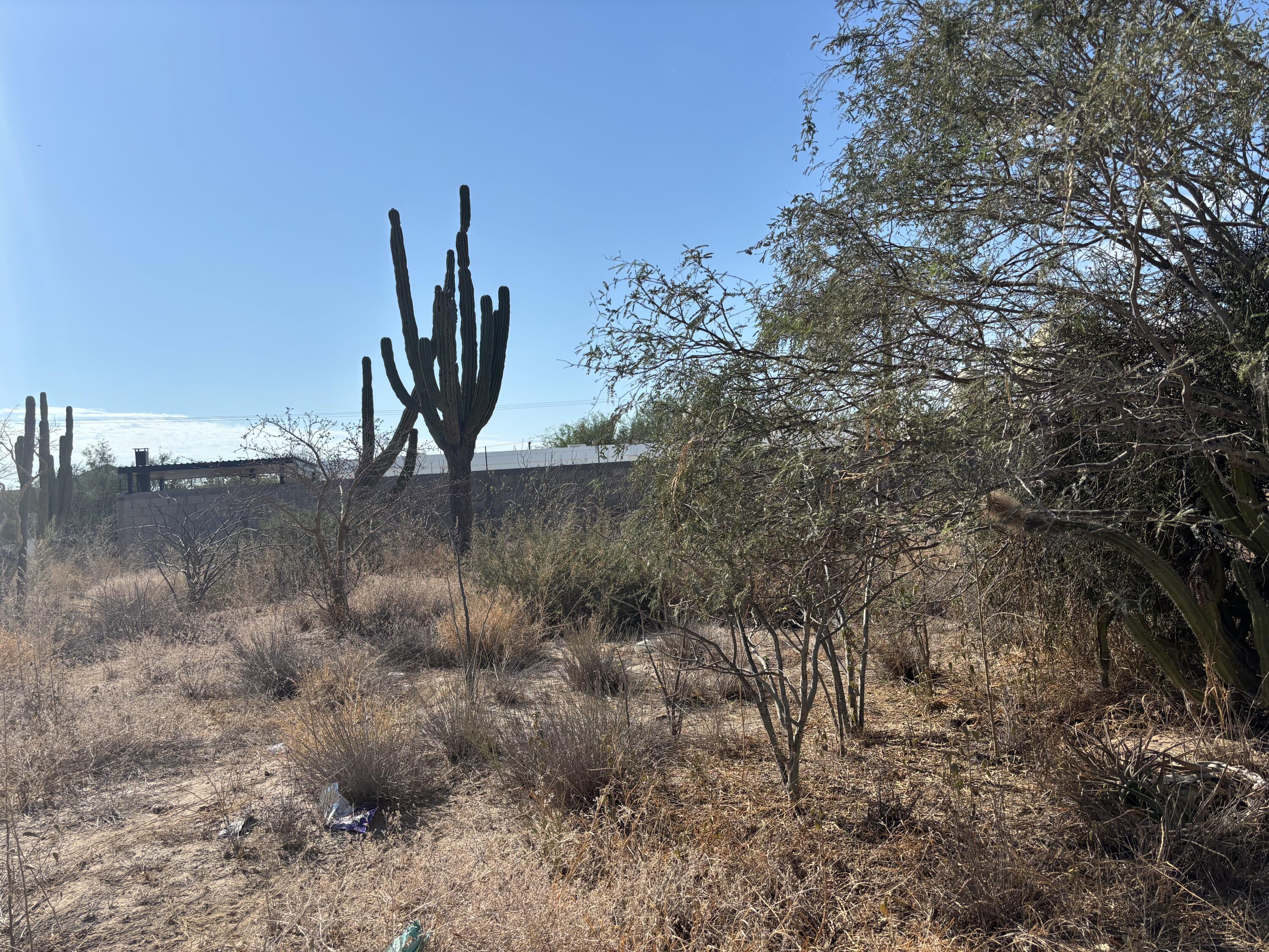 - Calle 2 Comitán Lot La Paz BCS MLS #24-4328 46 MLS #24-4328 image #5