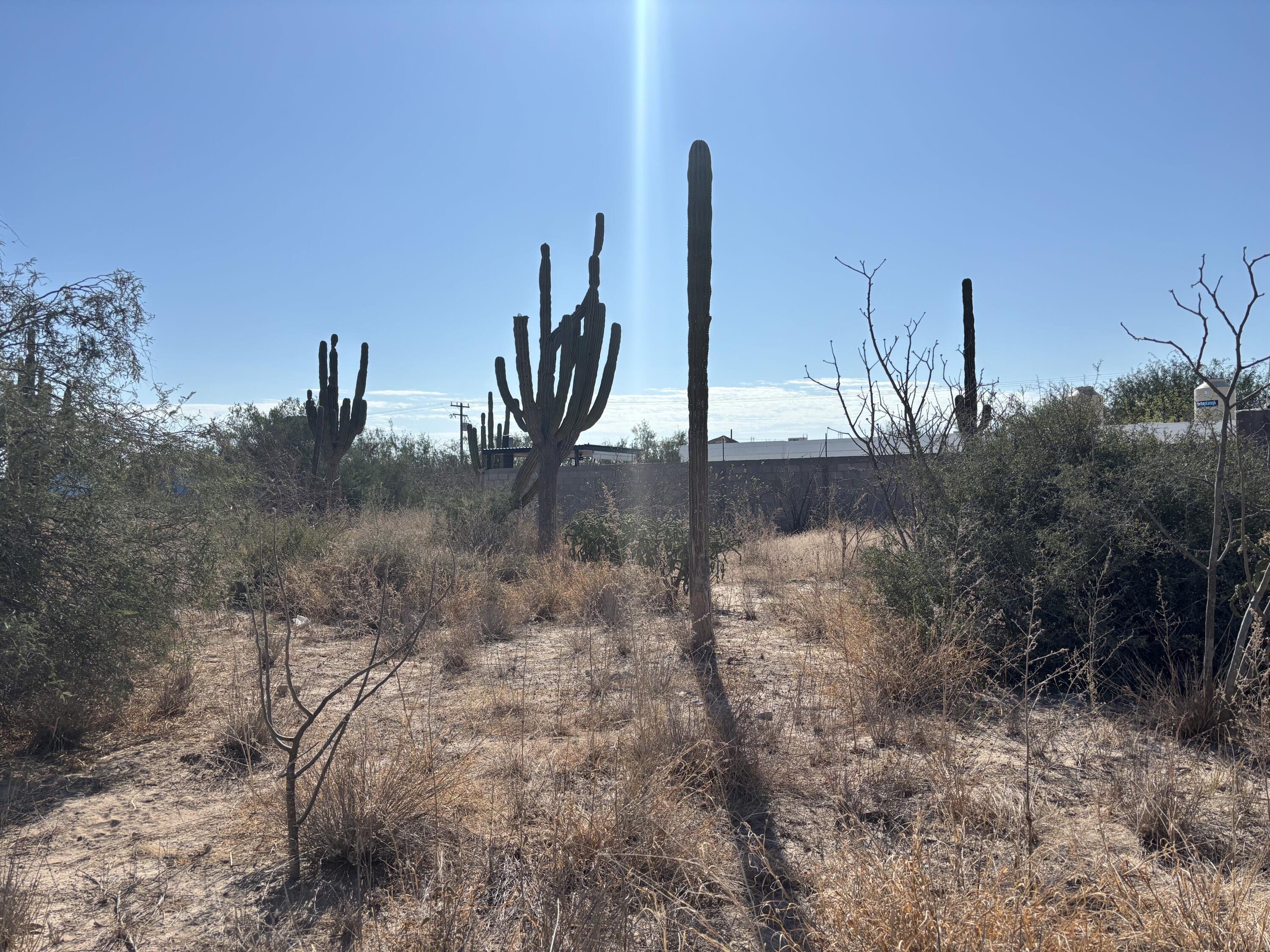 - Calle 2 Comitán Lot La Paz BCS MLS #24-4328 47 MLS #24-4328 image #6