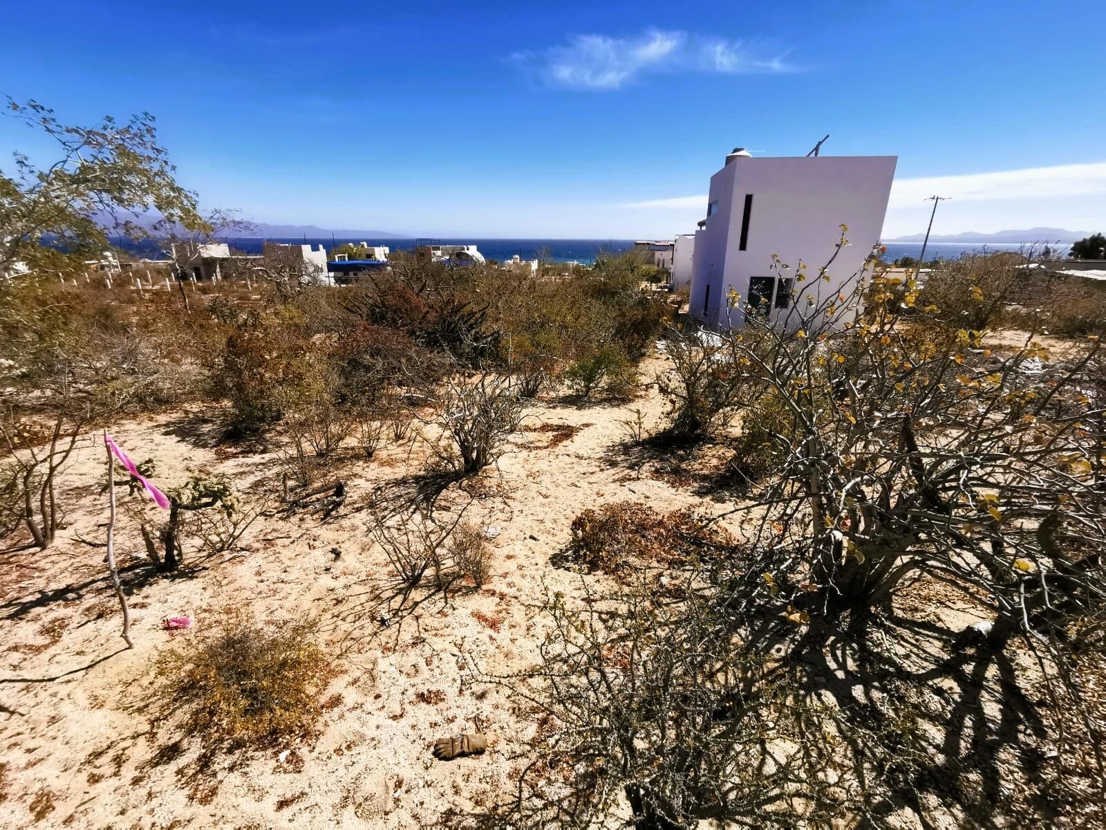 MLS #24-4469 img 3