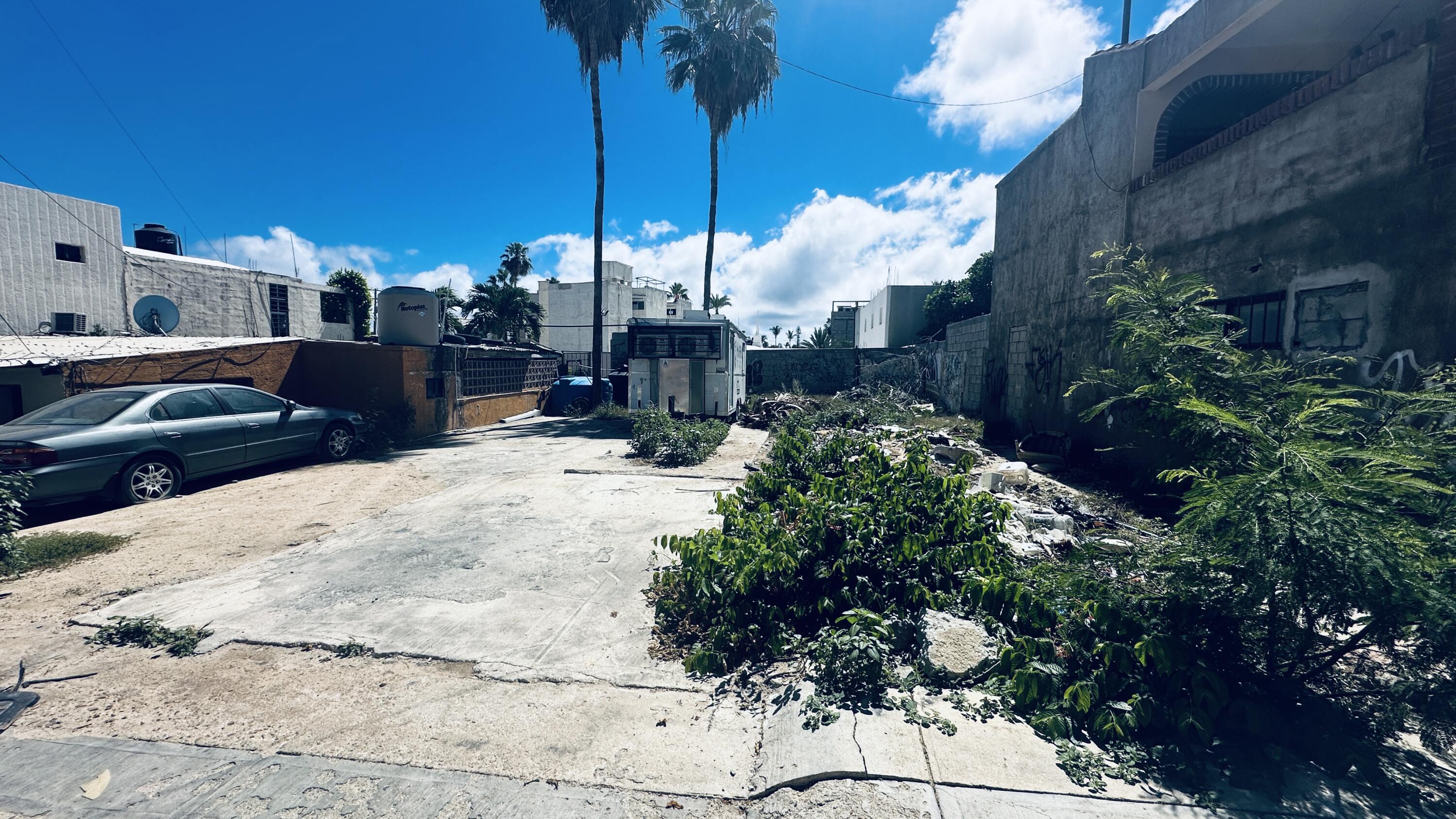 MLS #24-4519 img 4