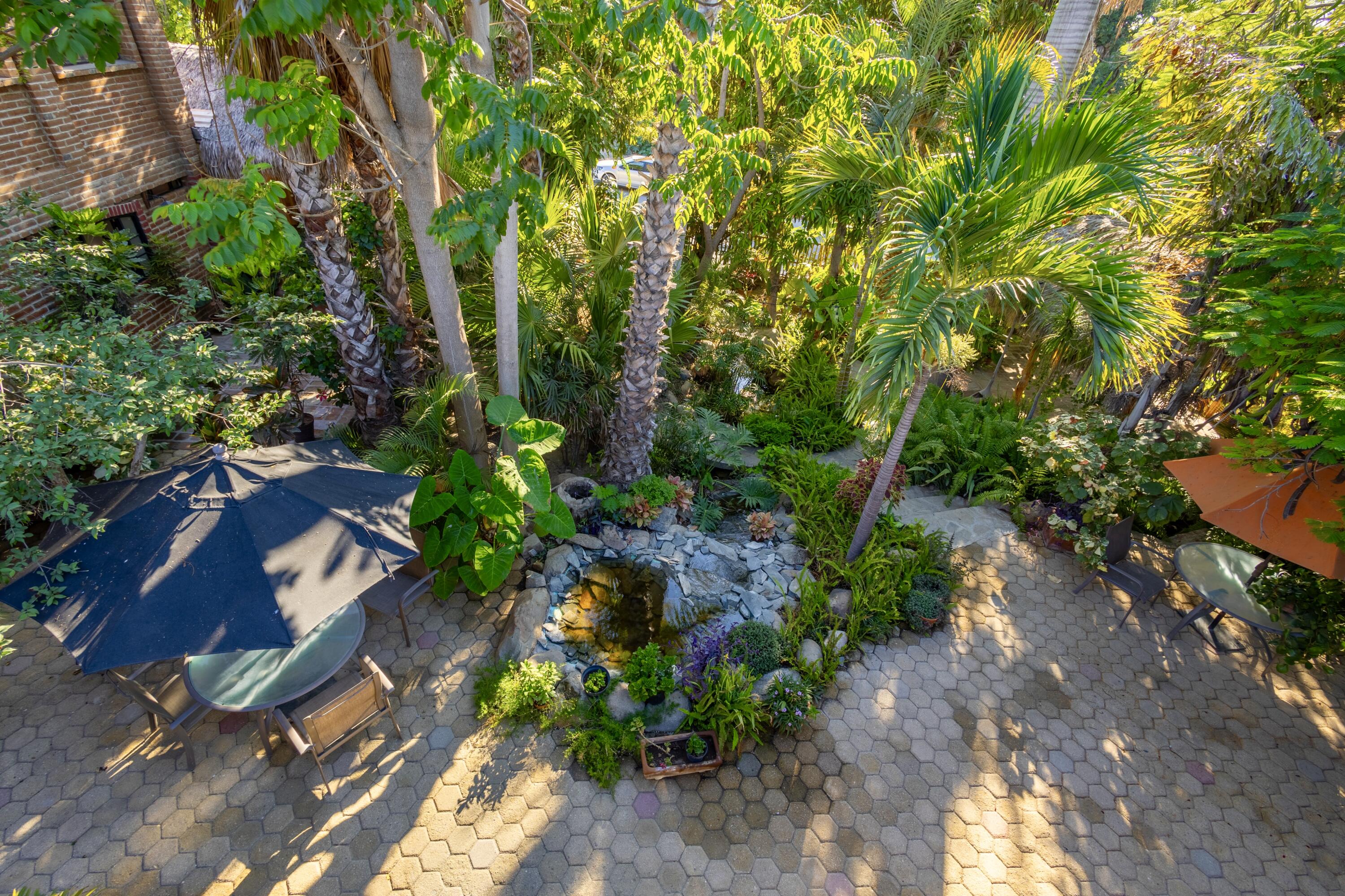 MLS #24-4621 image #22