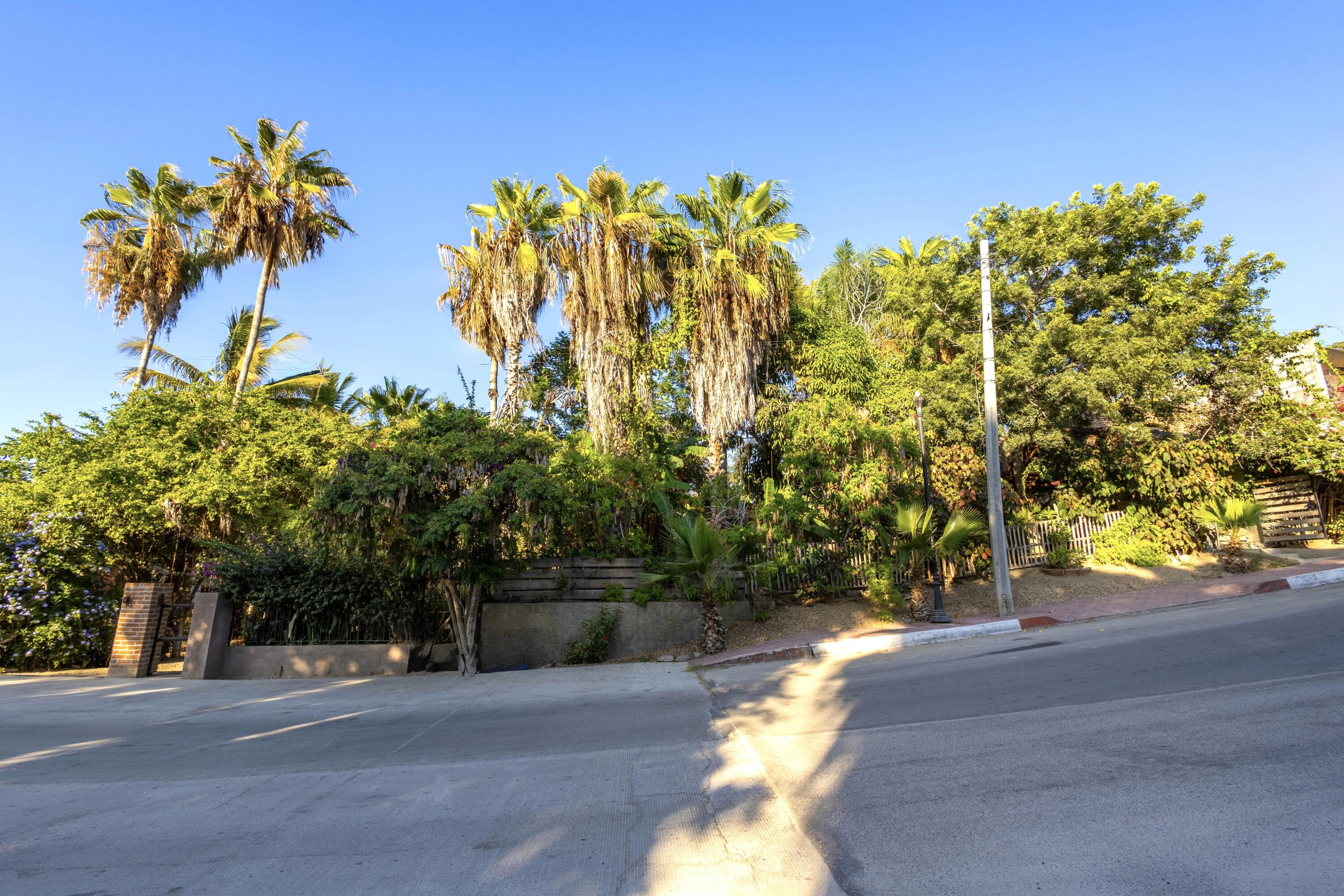 MLS #24-4621 image #31