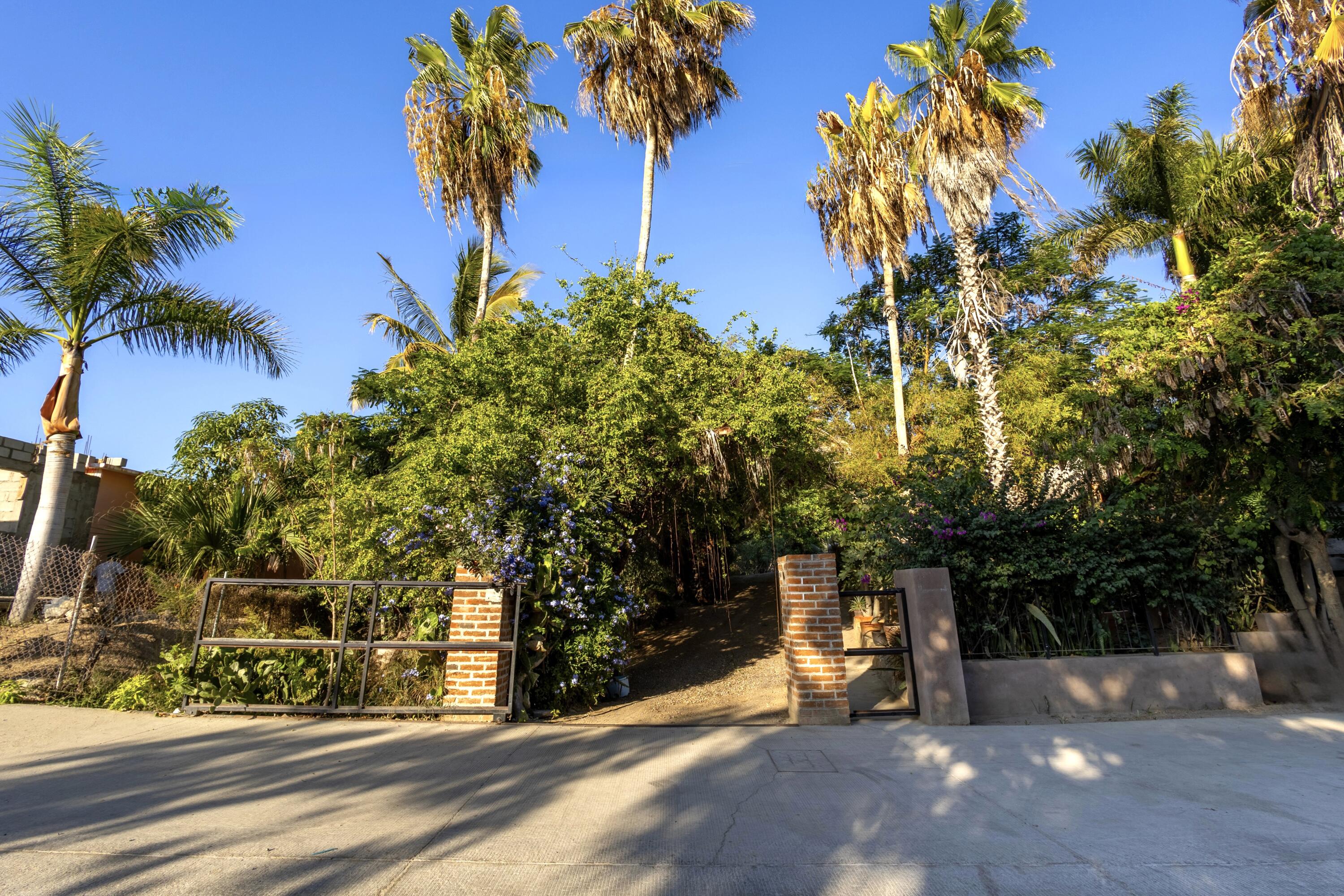 MLS #24-4621 image #32