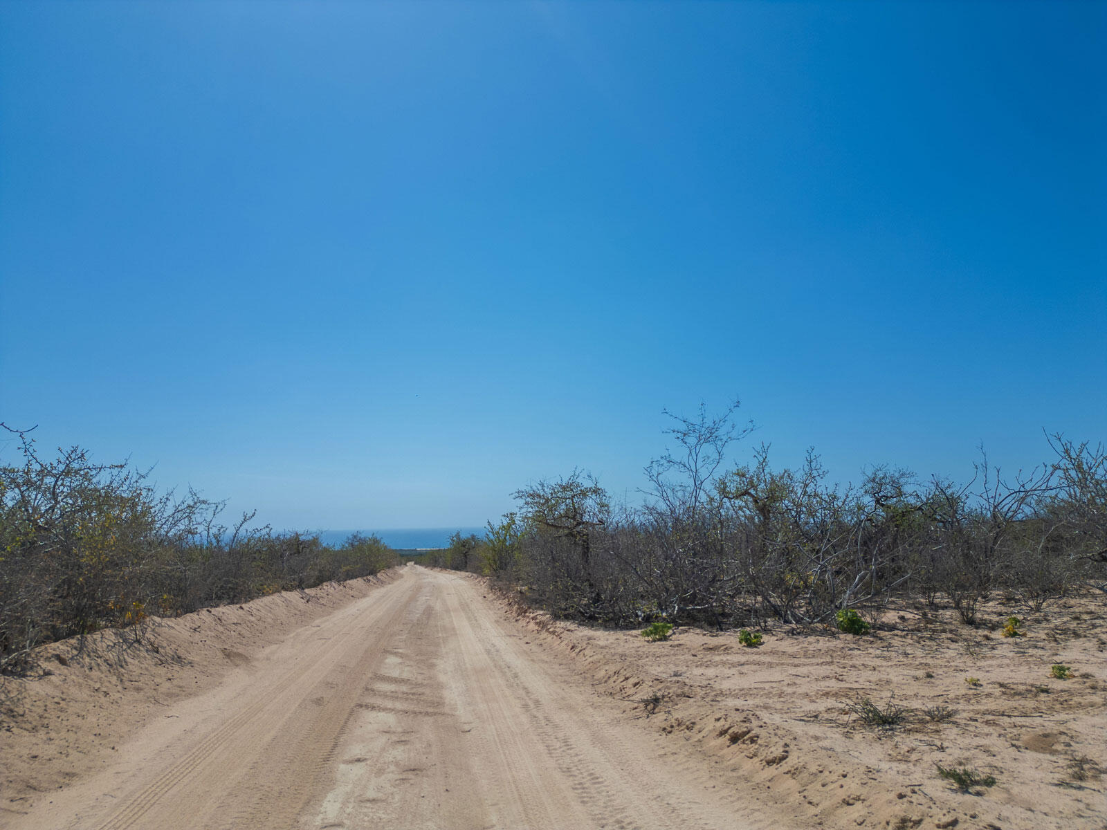 Las Playitas Hectarea Pacific BCS MLS #24-4693 42 MLS #24-4693 image #1