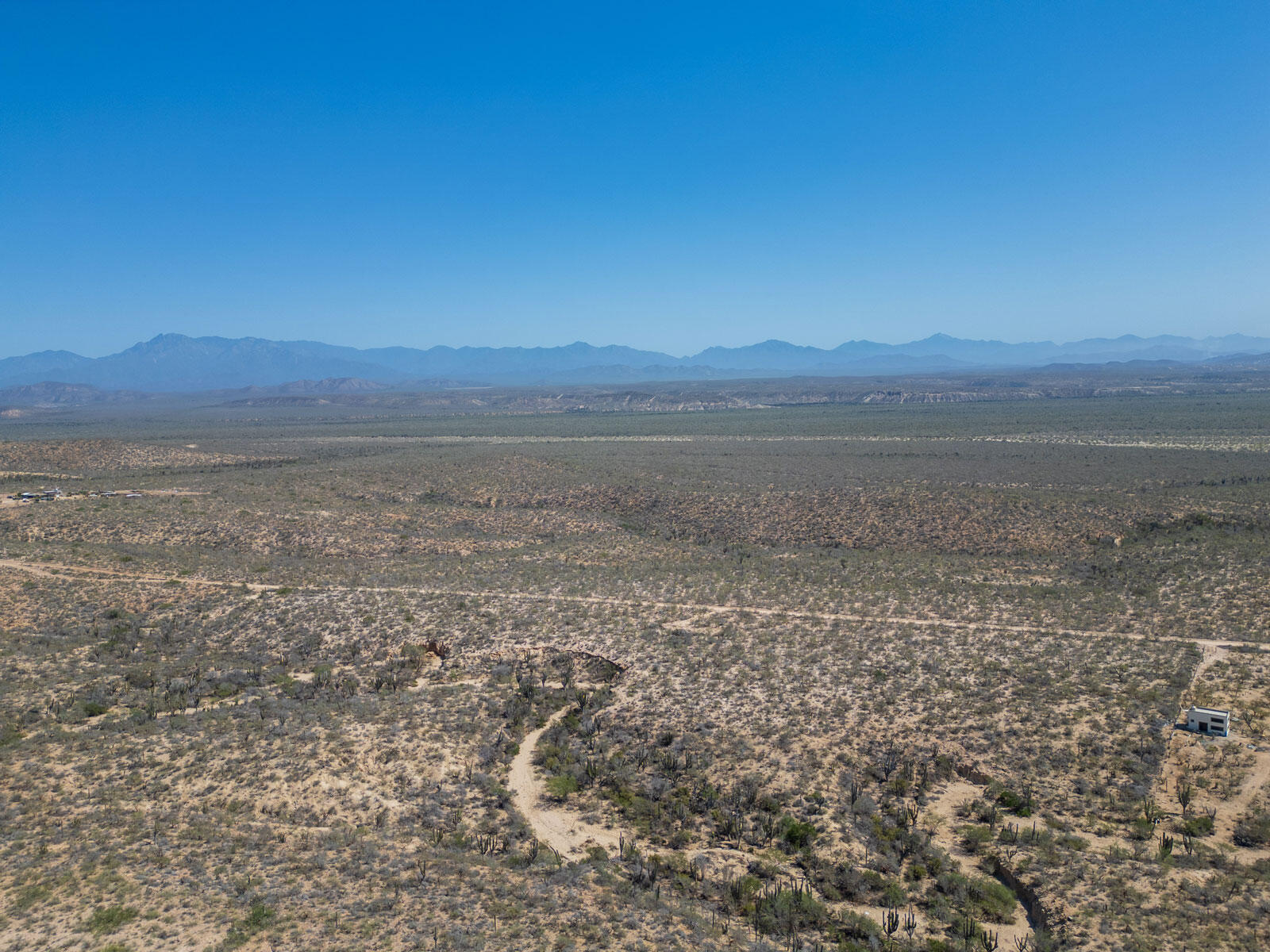 MLS #24-4693 image #11