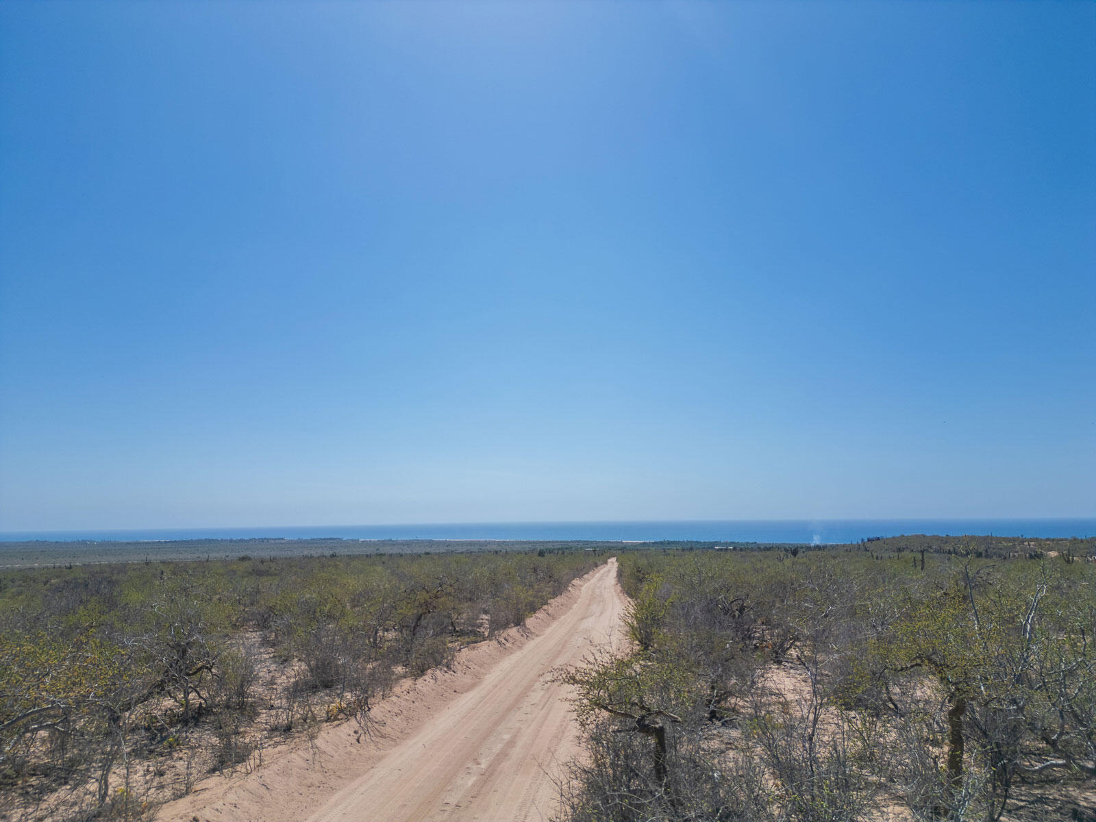 MLS #24-4693 image #15