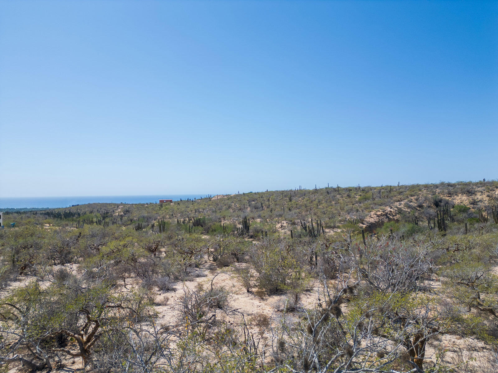 Las Playitas Hectarea Pacific BCS MLS #24-4693 43 MLS #24-4693 image #2