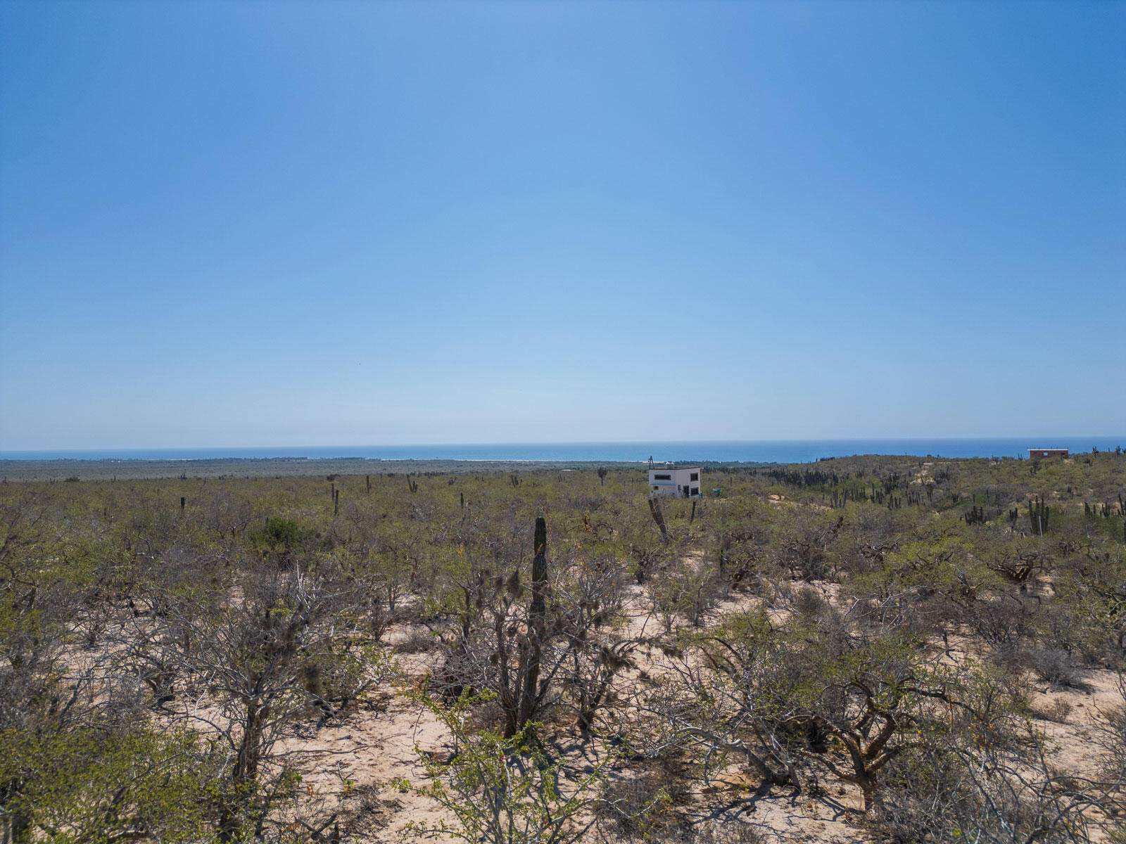 Las Playitas Hectarea Pacific BCS MLS #24-4693 44 MLS #24-4693 image #3