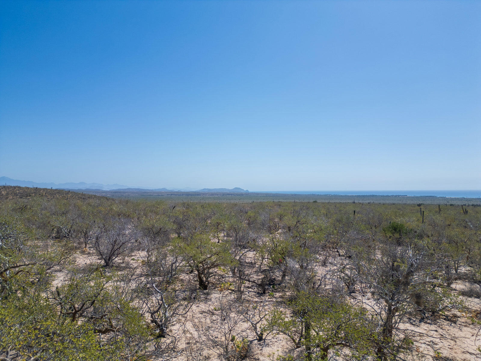 Las Playitas Hectarea Pacific BCS MLS #24-4693 45 MLS #24-4693 image #4