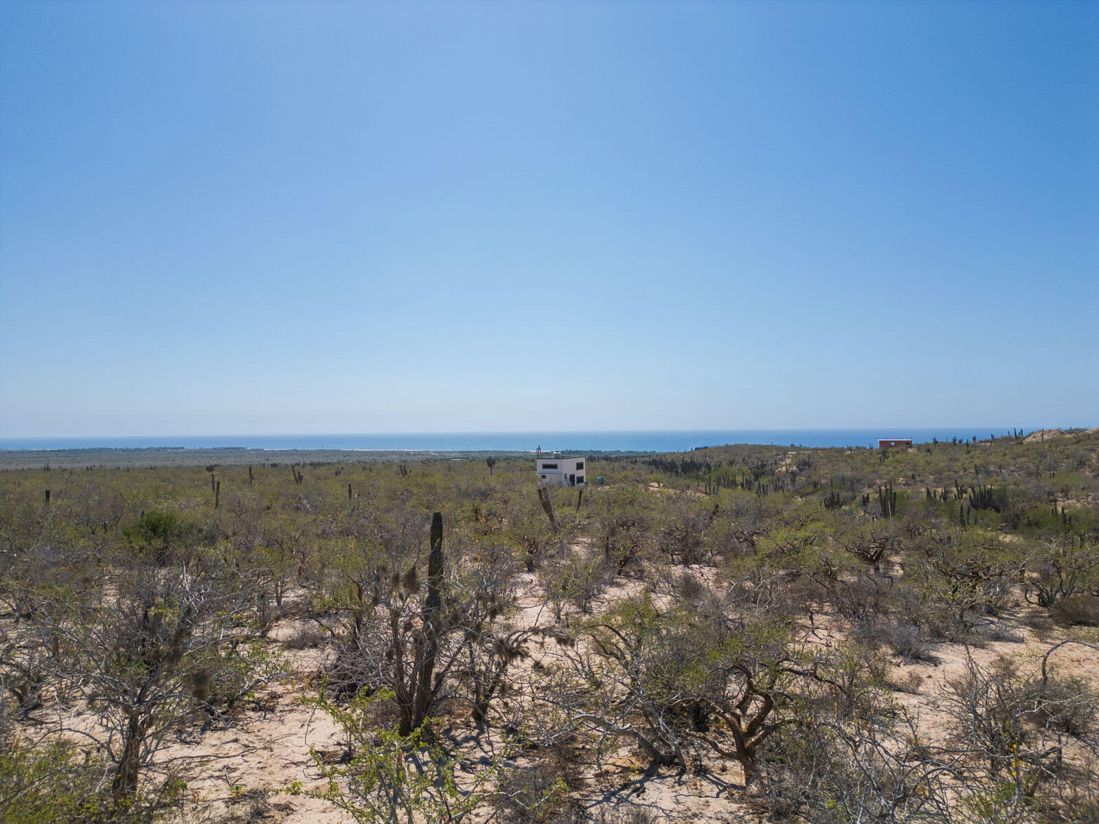 Las Playitas Hectarea Pacific BCS MLS #24-4693 46 MLS #24-4693 image #5