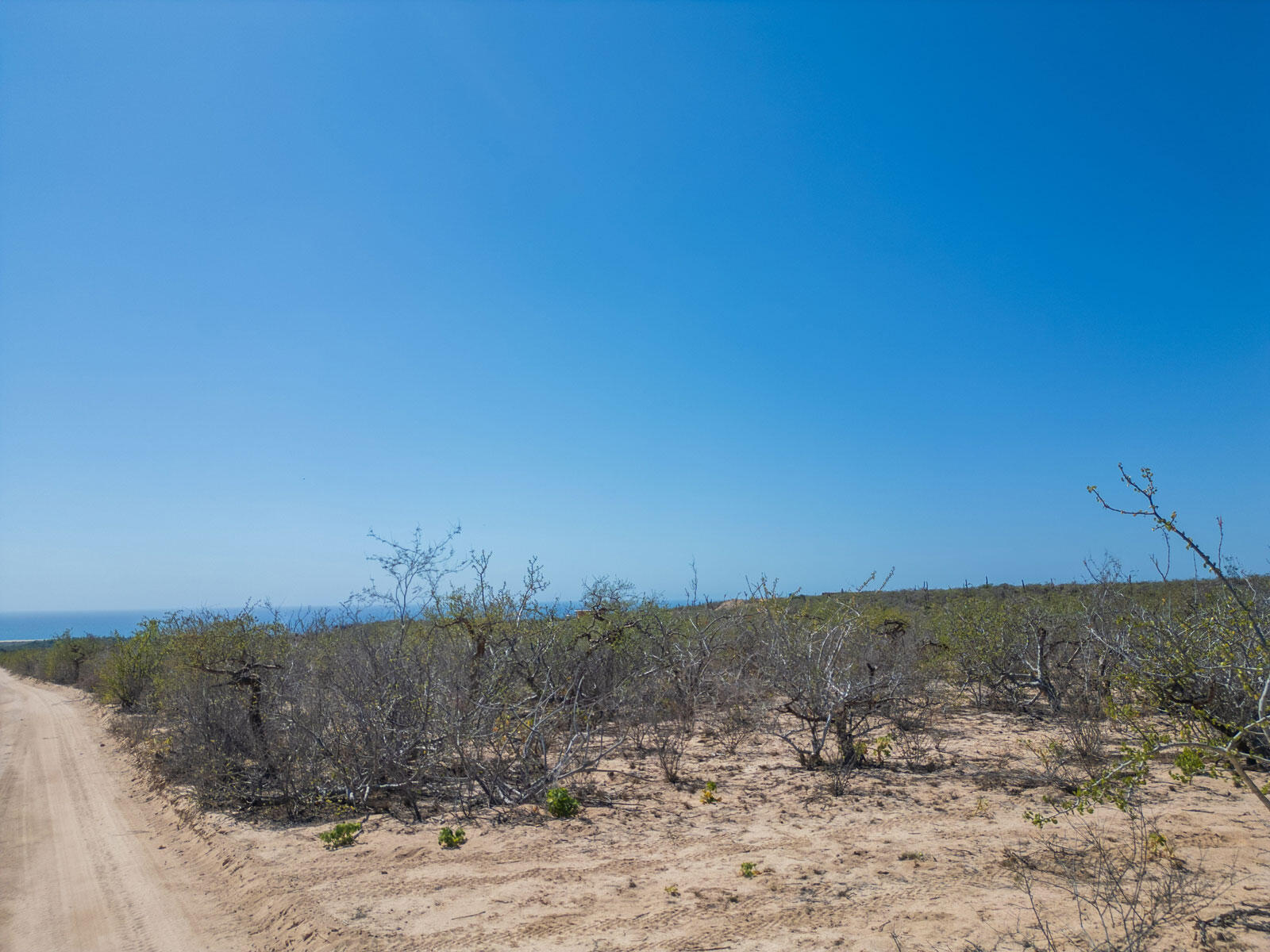 Las Playitas Hectarea Pacific BCS MLS #24-4693 47 MLS #24-4693 image #6