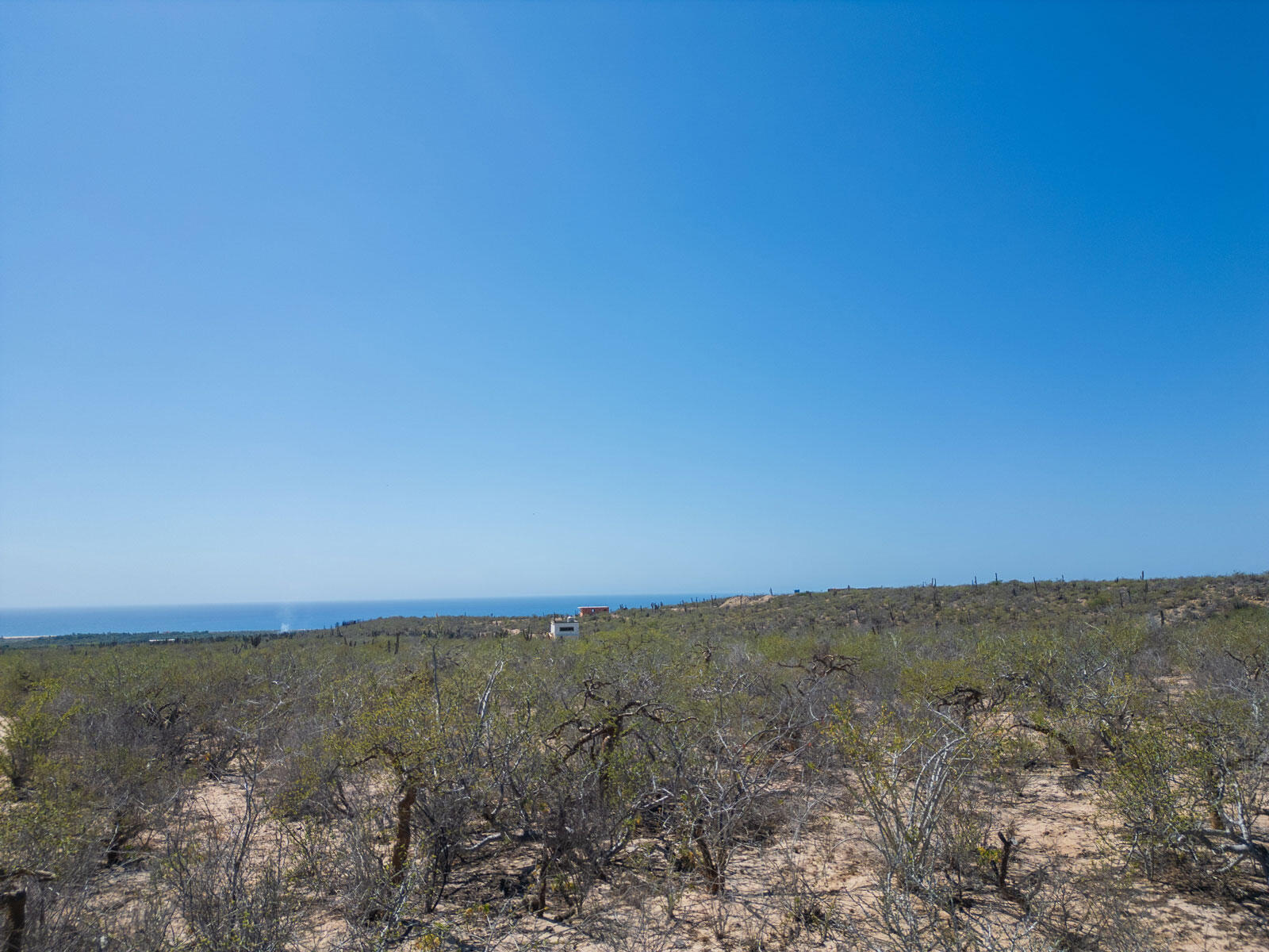 MLS #24-4693 image #7