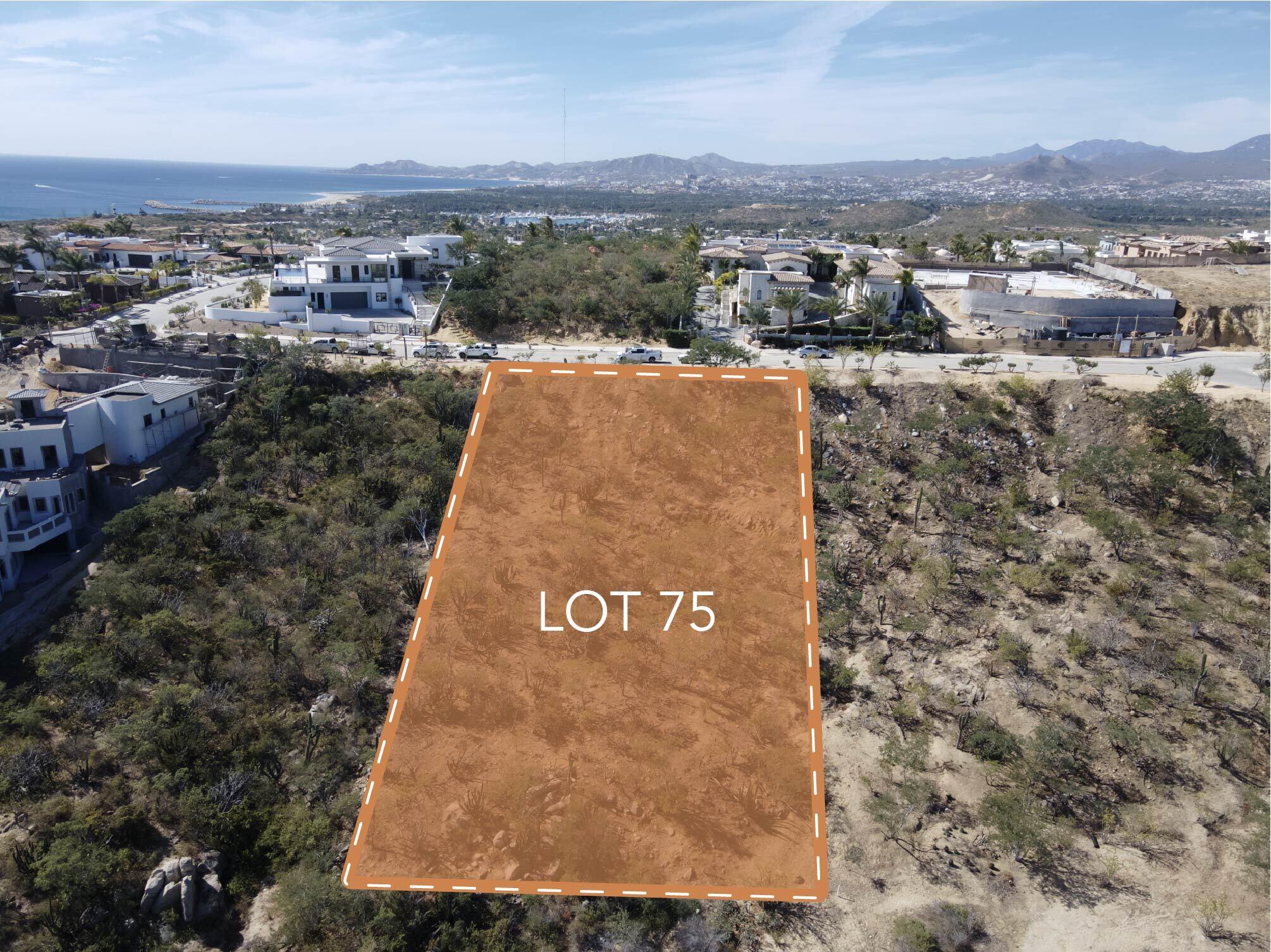 MLS #24-470 img 3