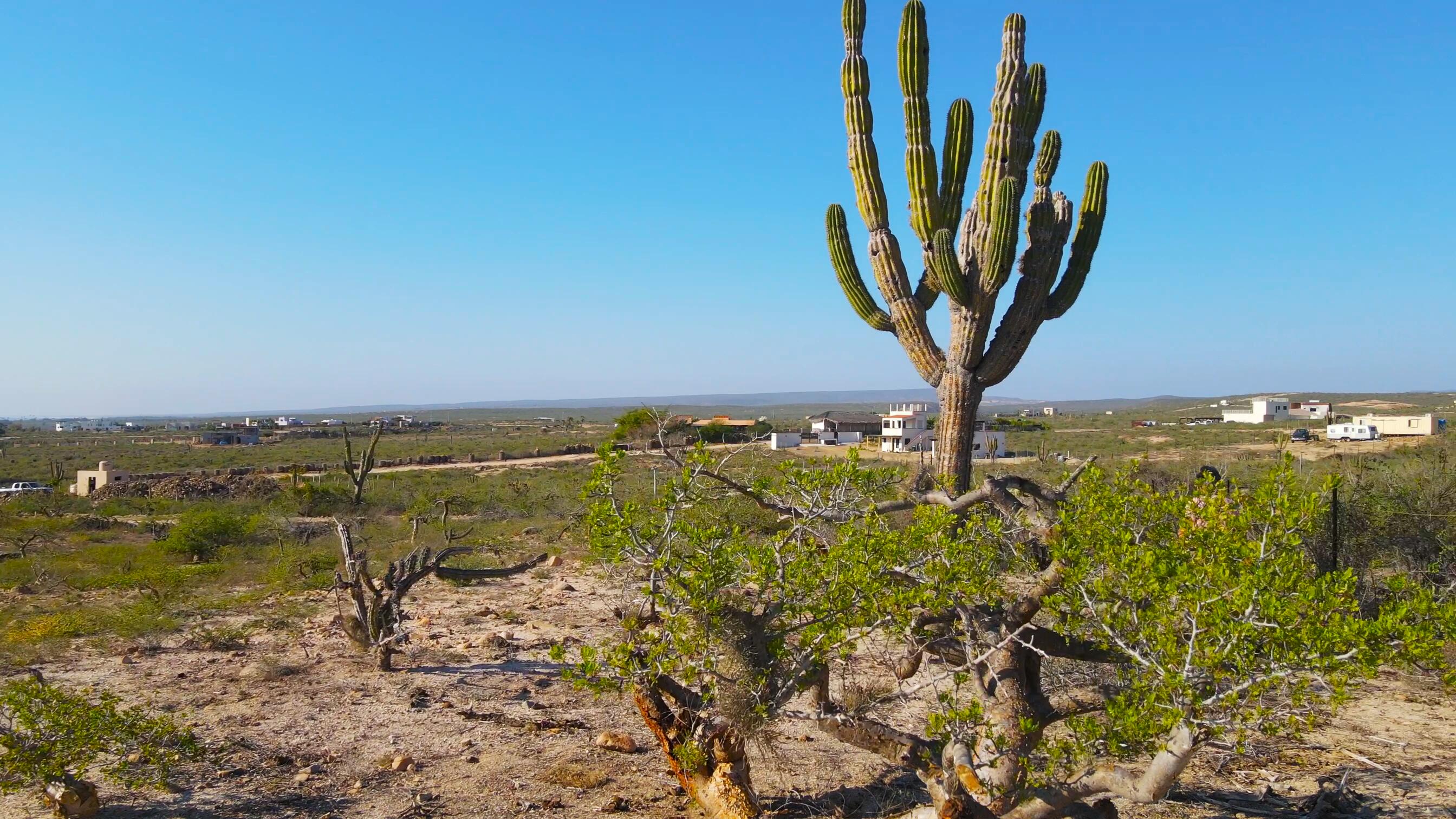 MLS #24-4702 image #3