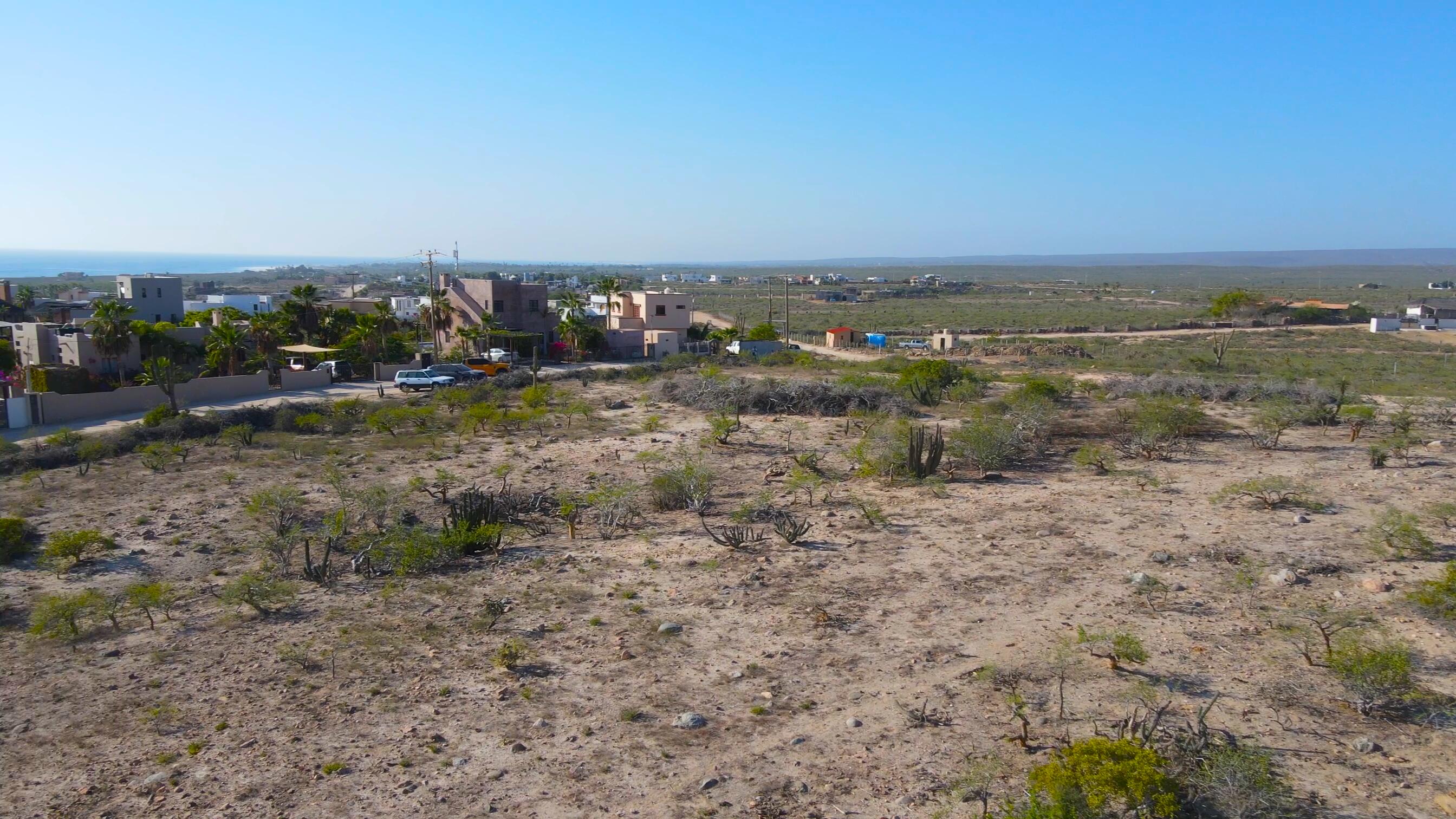 MLS #24-4702 image #7