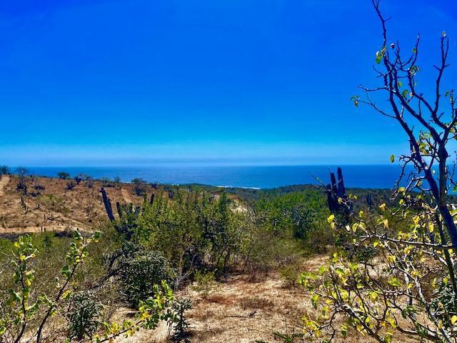 MLS #24-4797 image #4