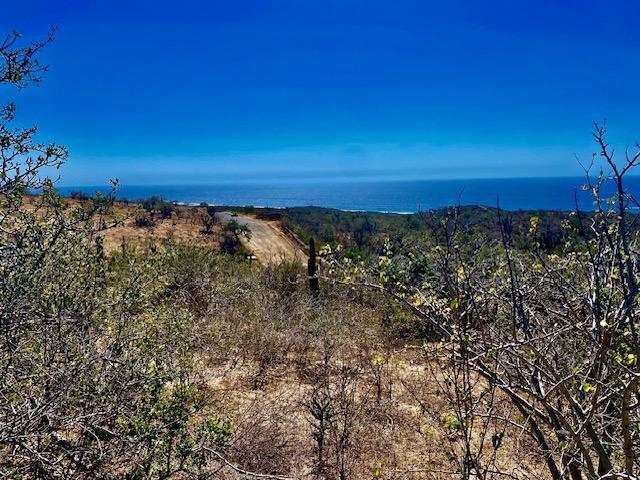 MLS #24-4797 image #5