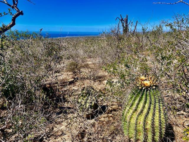 MLS #24-4797 image #8