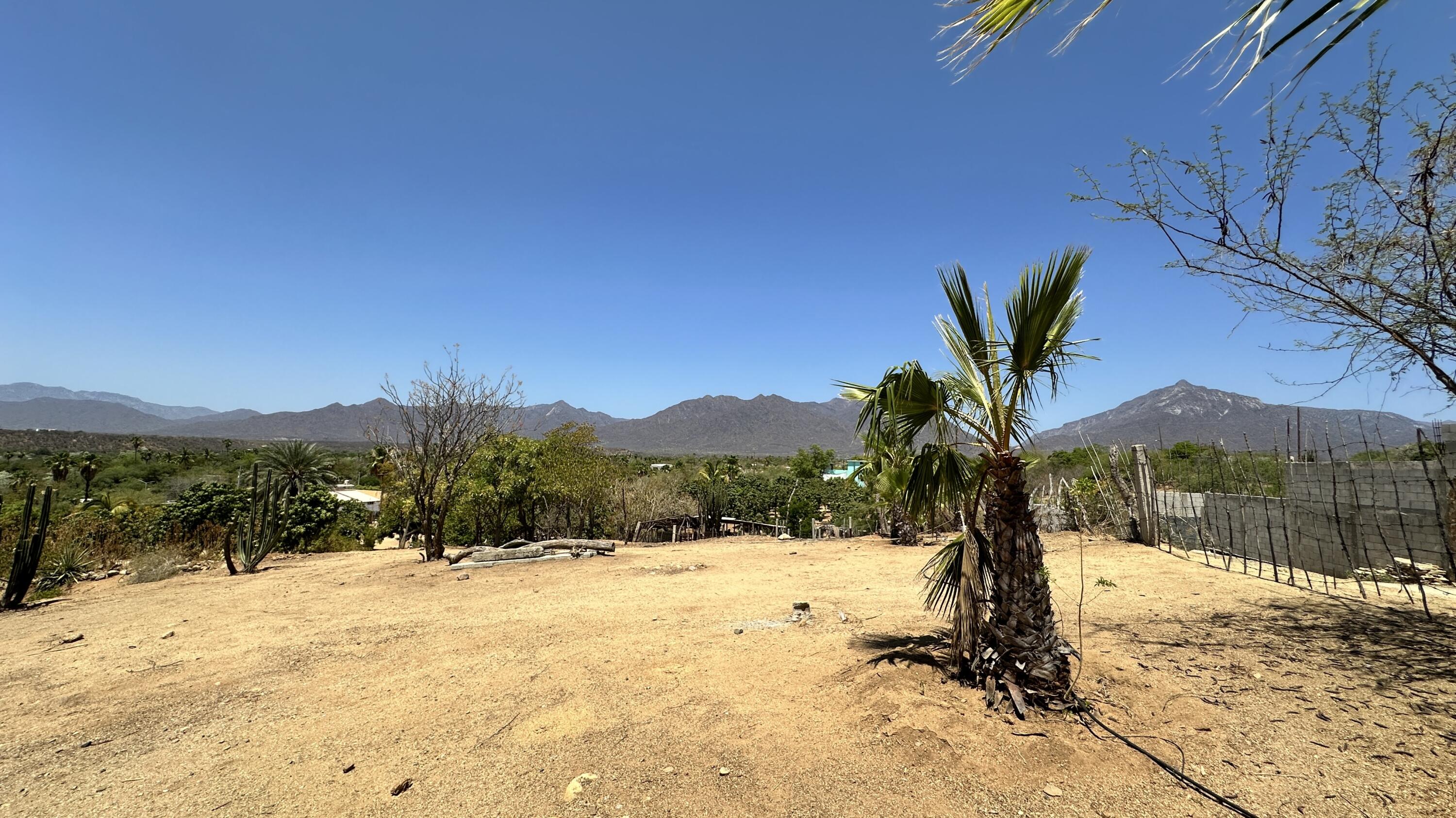 MLS #24-4832 image #10