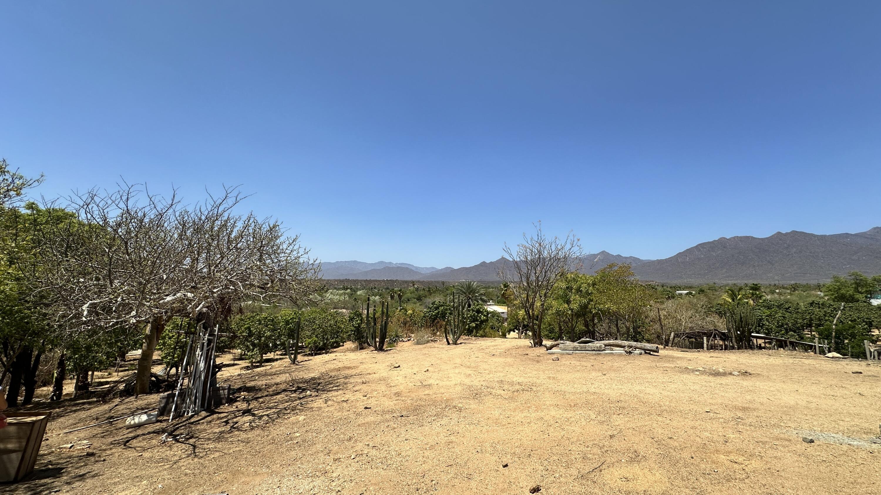 MLS #24-4832 image #11