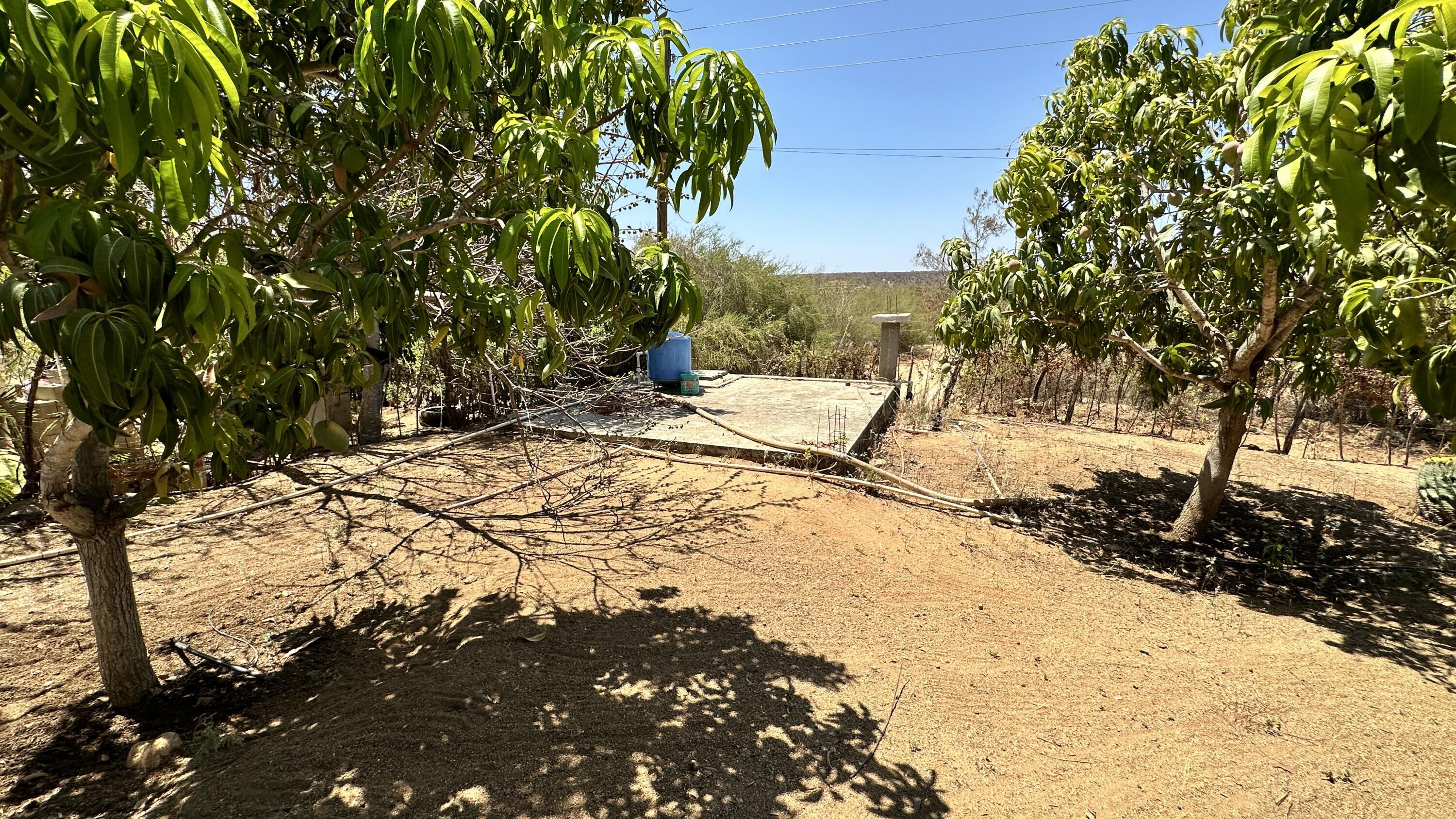 MLS #24-4832 image #13