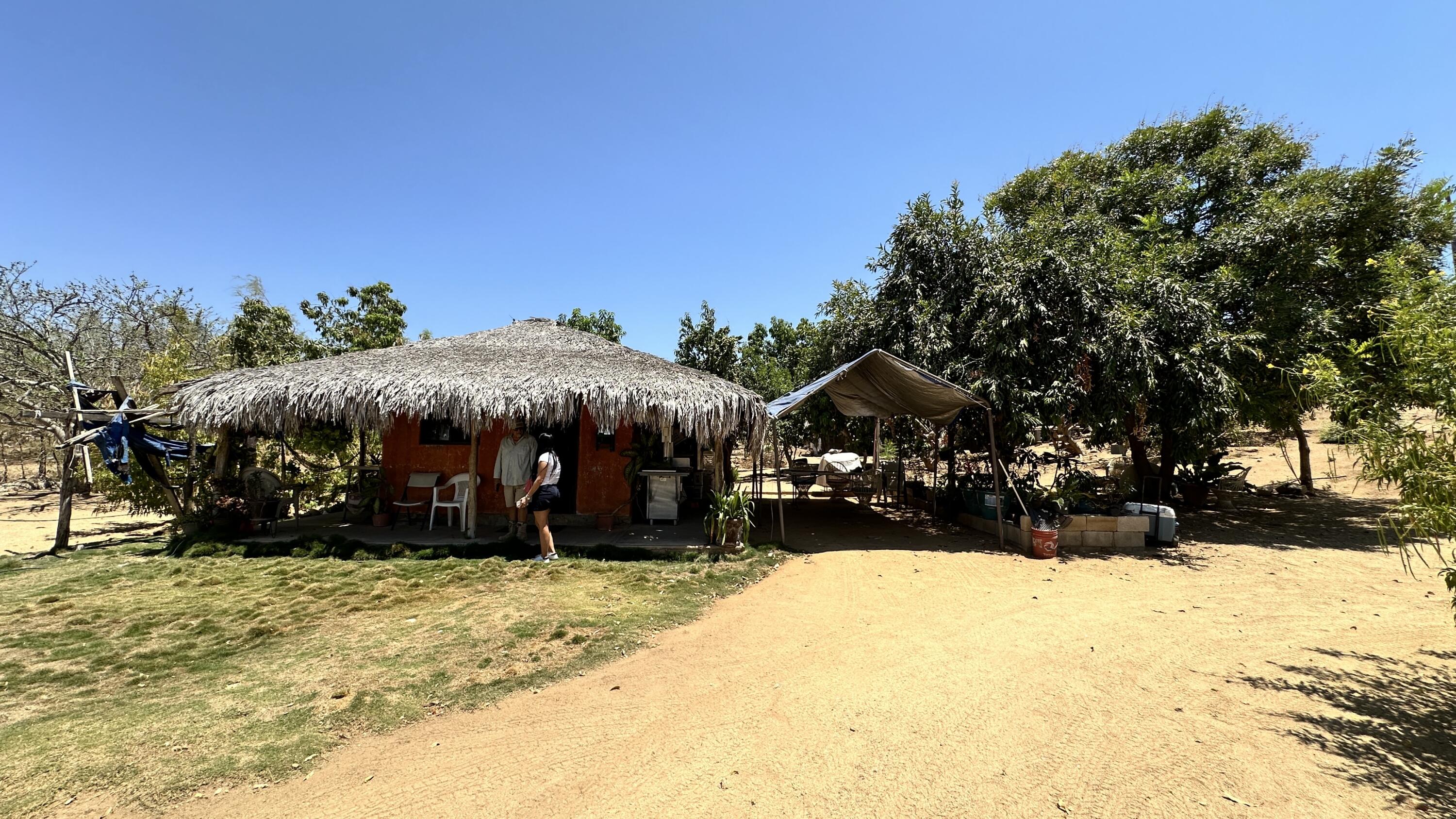 MLS #24-4832 image #15