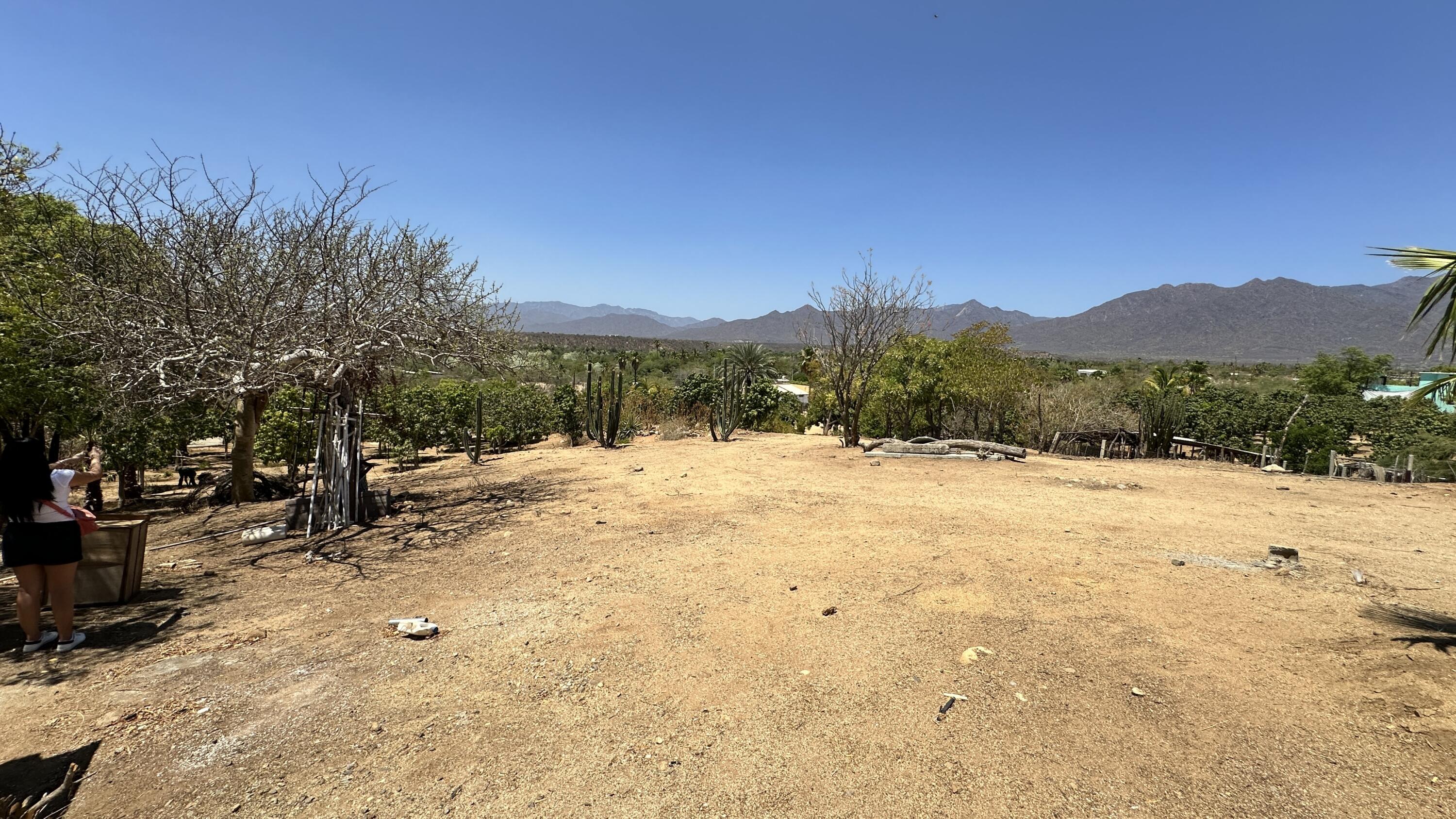 MLS #24-4832 image #18