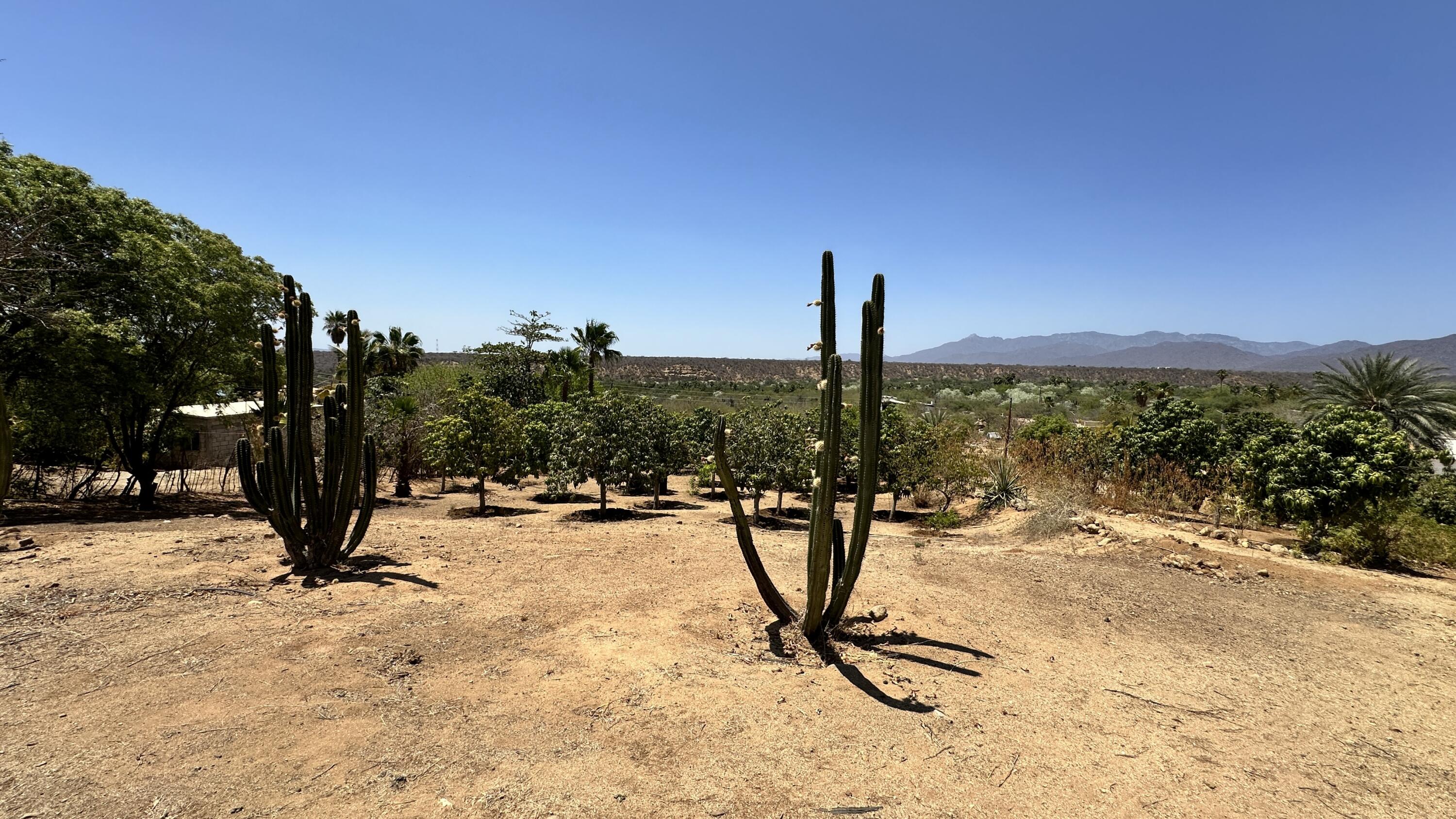 MLS #24-4832 image #19