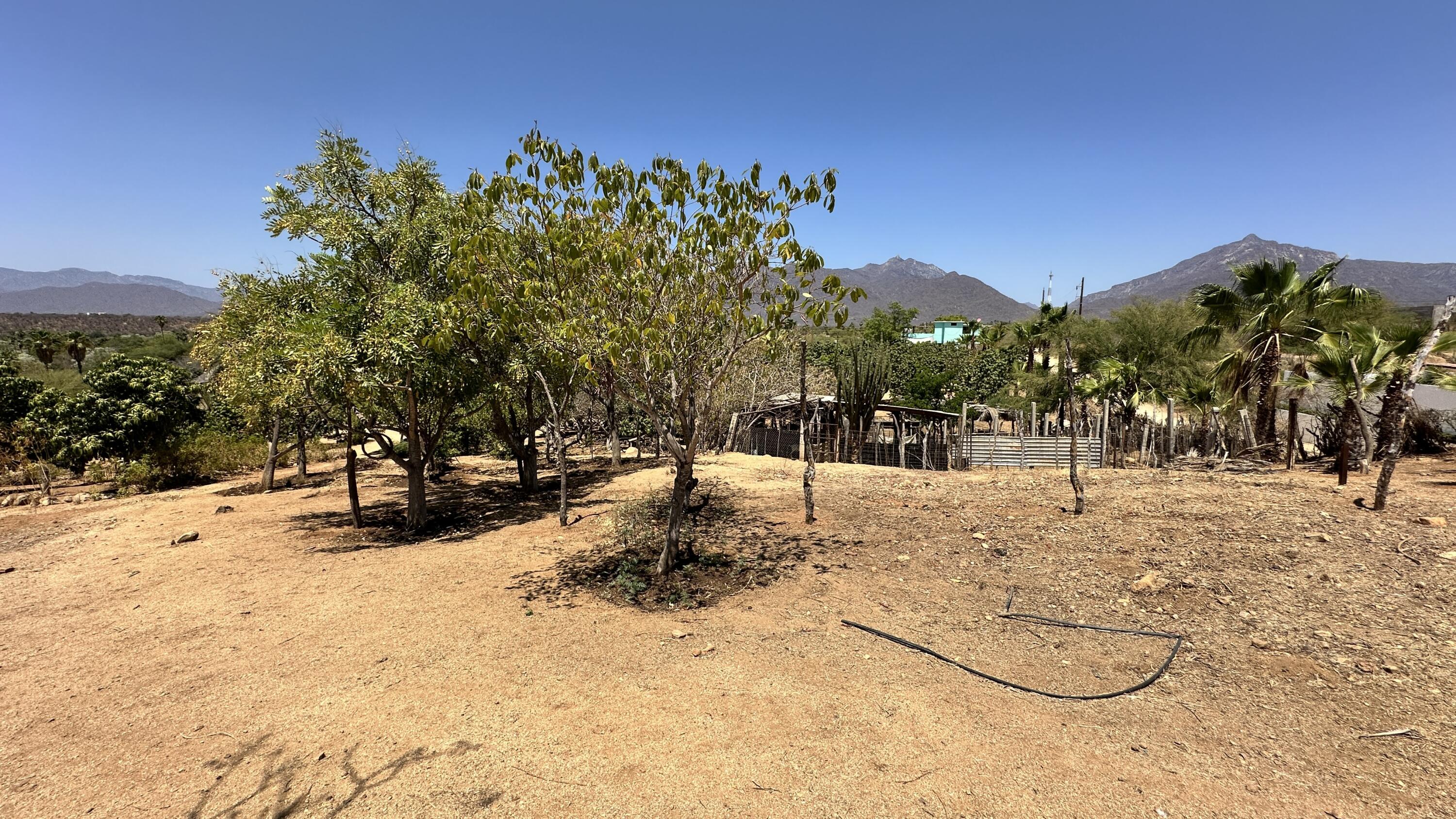 MLS #24-4832 image #20