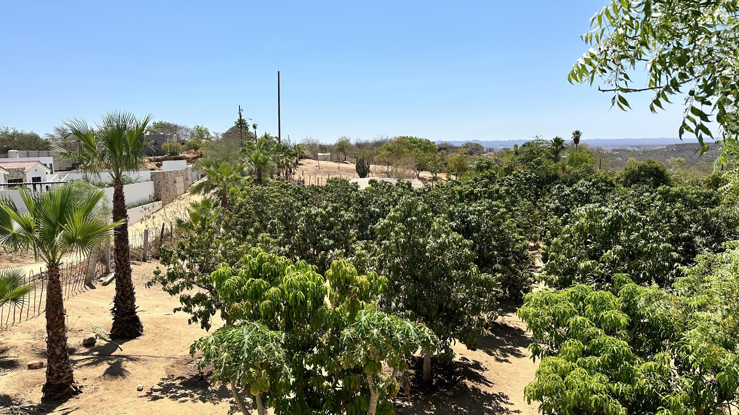 MLS #24-4832 image #21