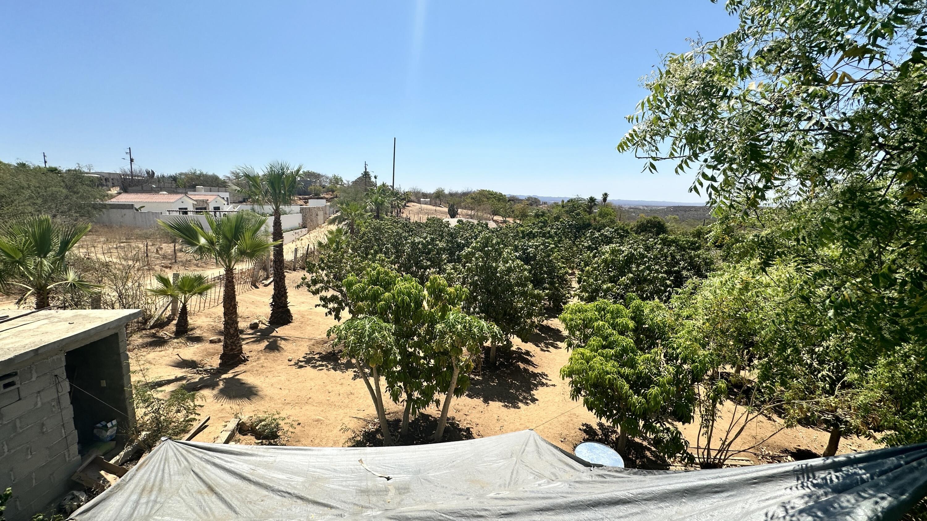 MLS #24-4832 image #22