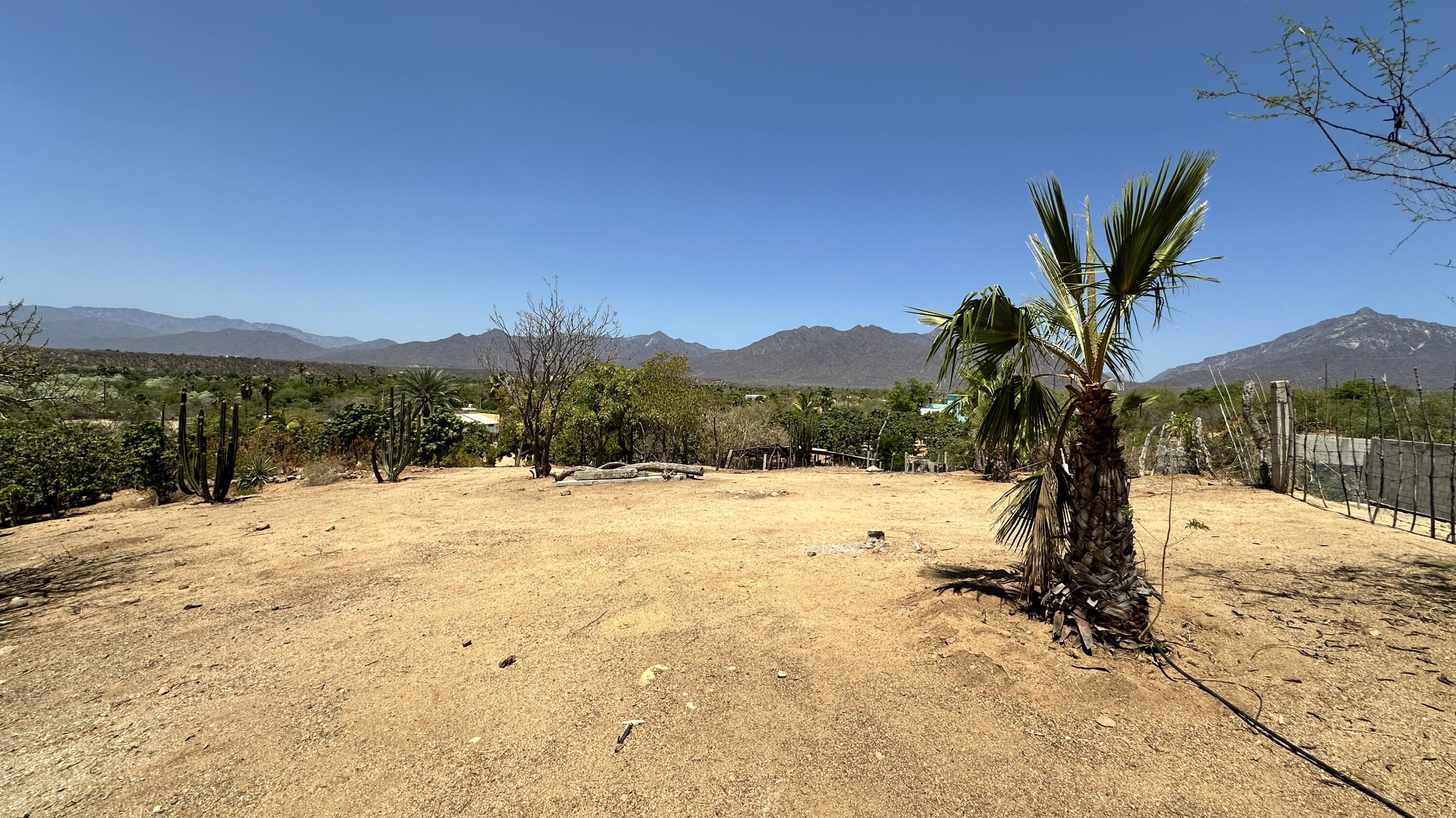 MLS #24-4832 image #9