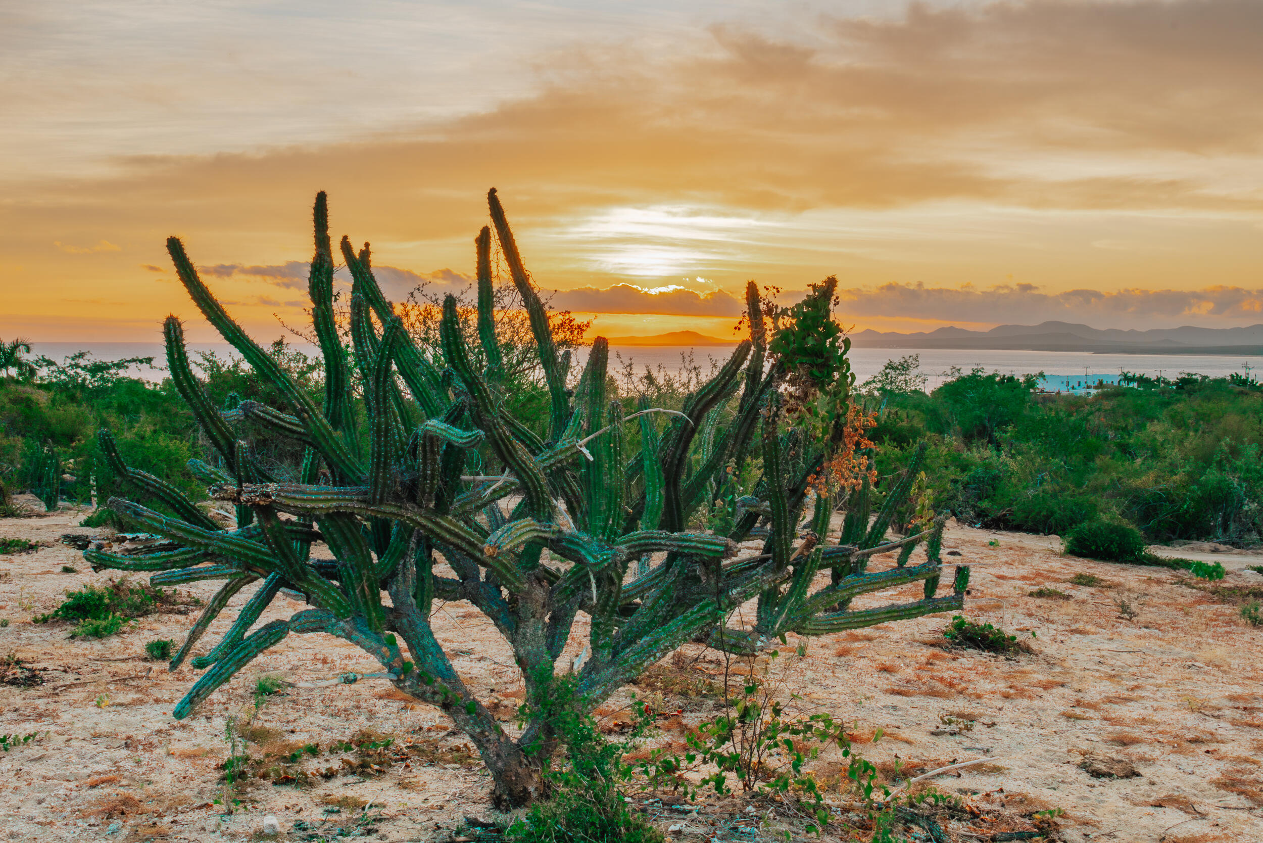 Isla Cerralvo Hill View Lot La Paz BCS MLS #24-4837 42 MLS #24-4837 image #1