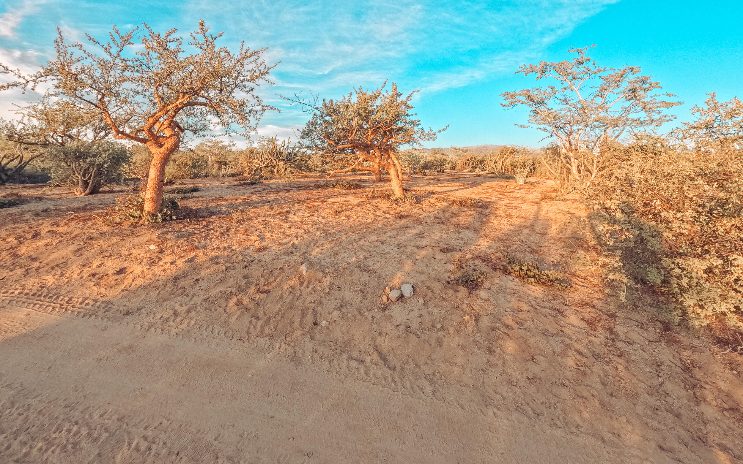 MLS #24-4837 image #10