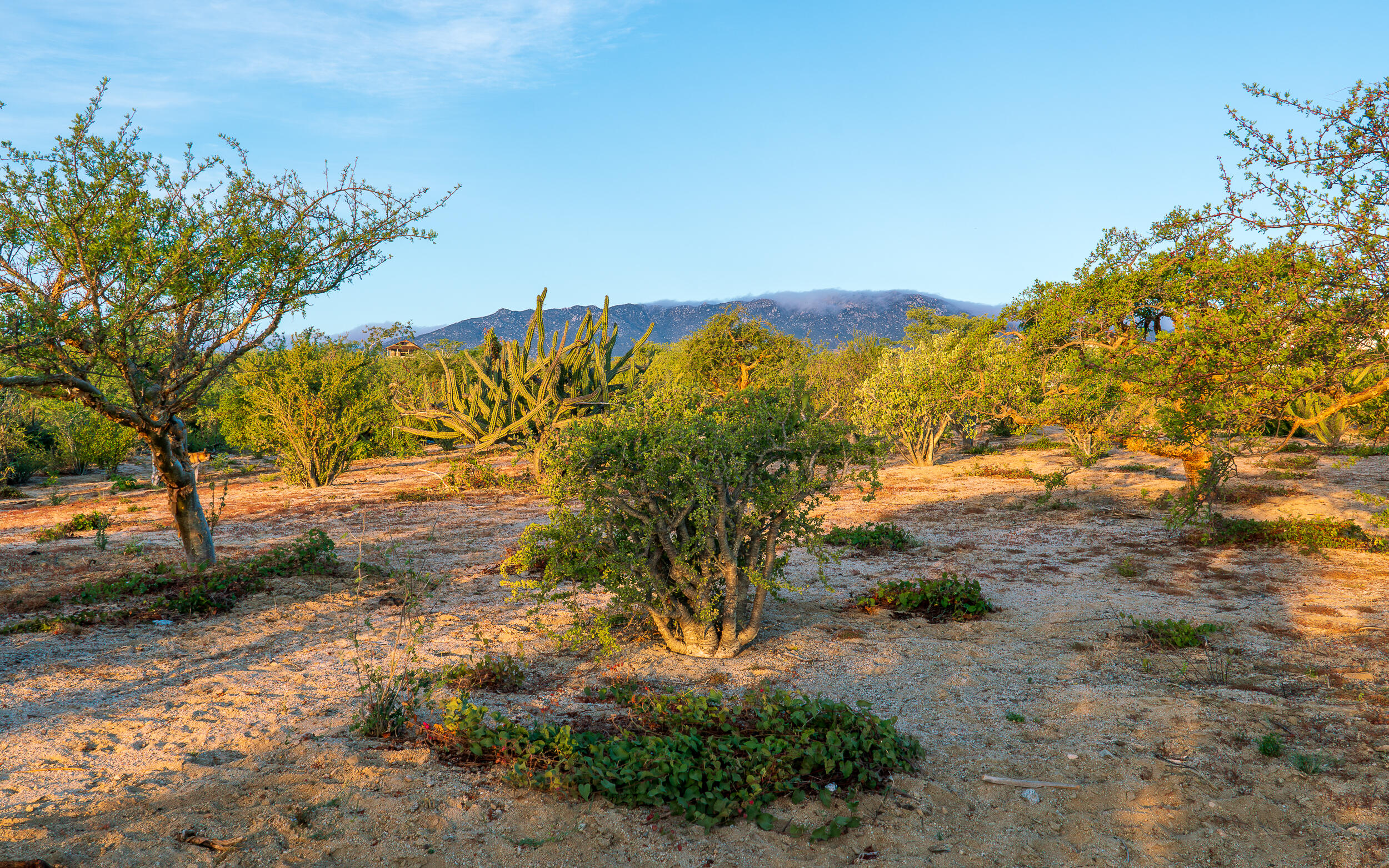 Isla Cerralvo Hill View Lot La Paz BCS MLS #24-4837 45 MLS #24-4837 image #4