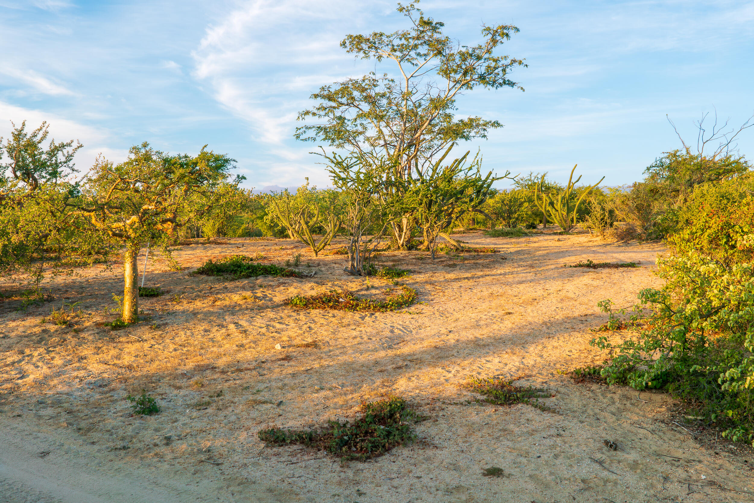 Isla Cerralvo Hill View Lot La Paz BCS MLS #24-4837 46 MLS #24-4837 image #5