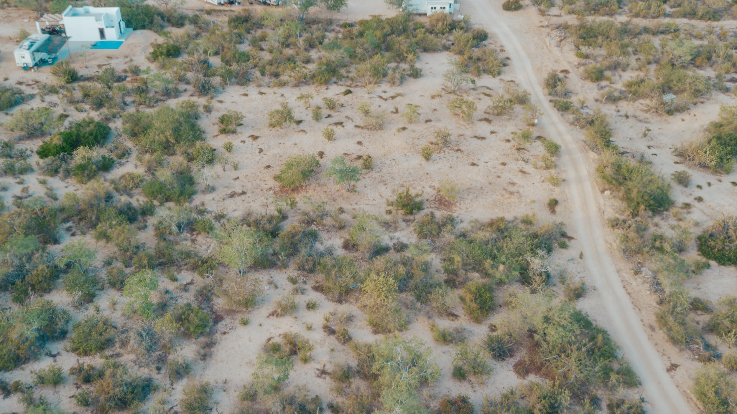 MLS #24-4837 image #7