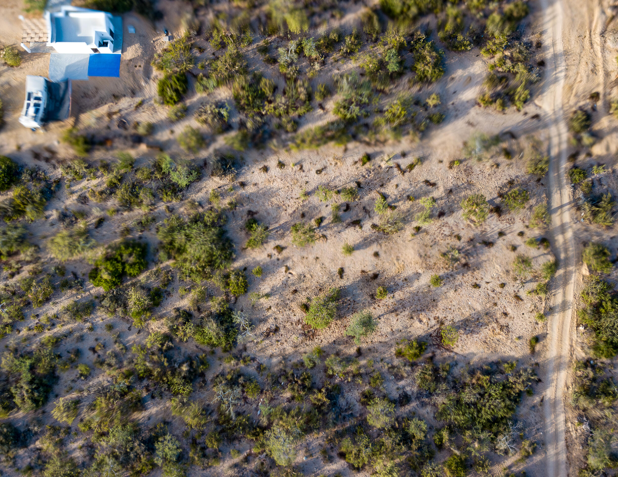 MLS #24-4837 image #8