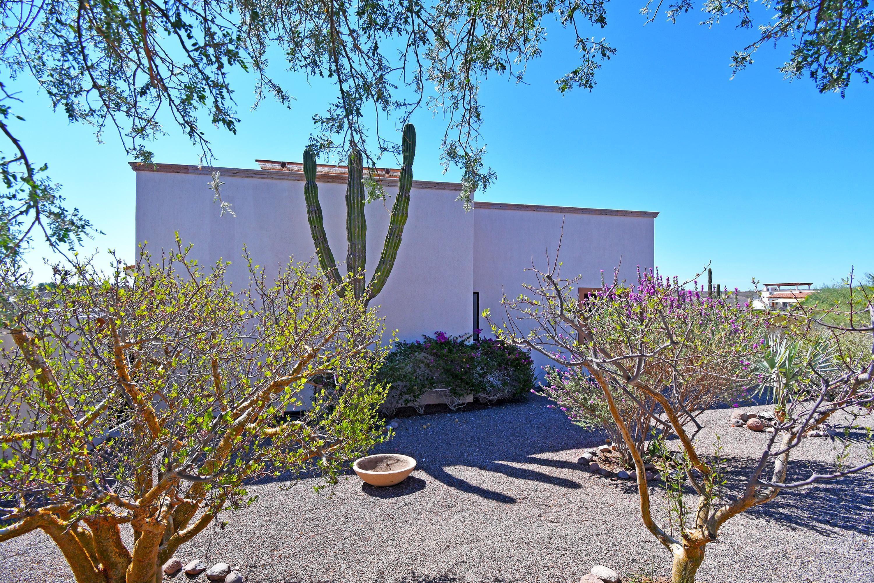 MLS #24-4867 image #29