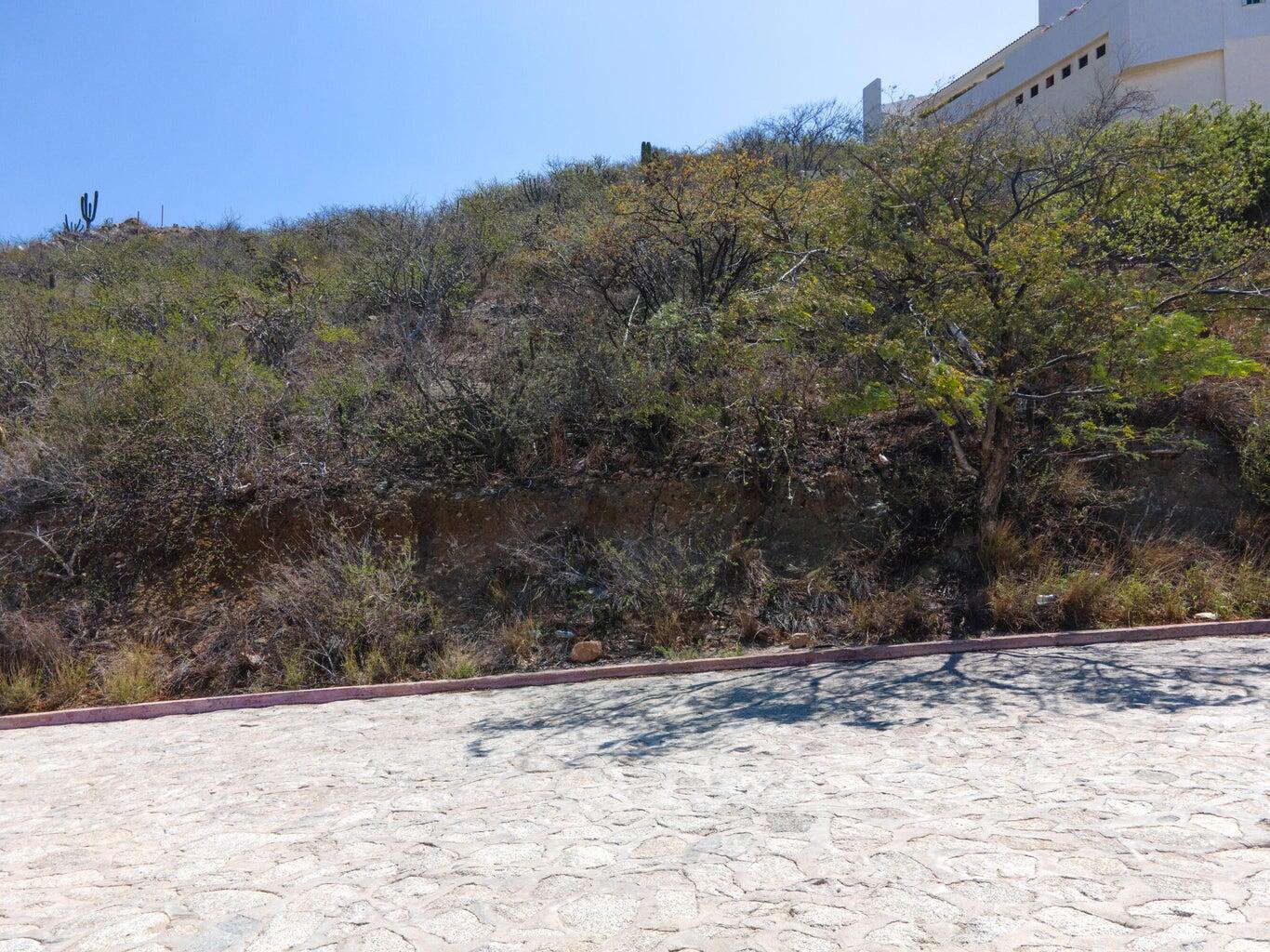 Pedregal Cam. Del Sol Cabo Sa Cabo San Lucas BCS MLS #24-4872 46 MLS #24-4872 image #5