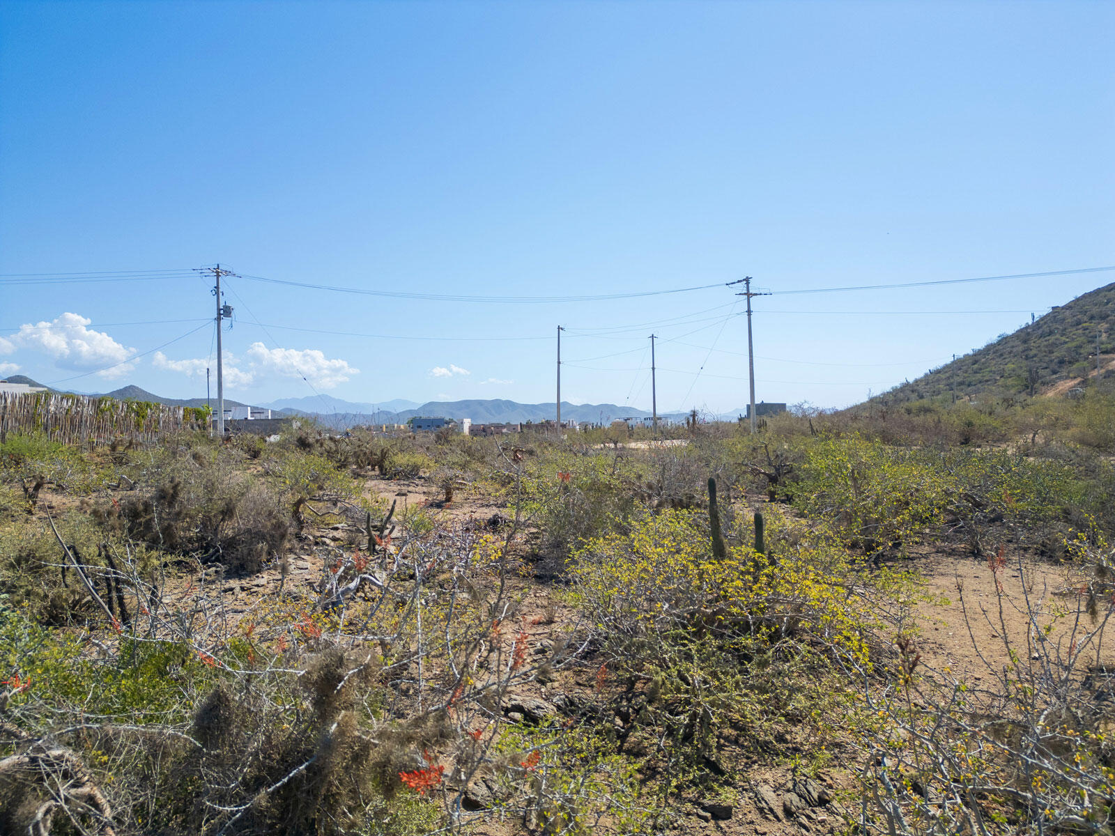 Lote Gavilan 2535 Pacific BCS MLS #24-4885 45 MLS #24-4885 image #4