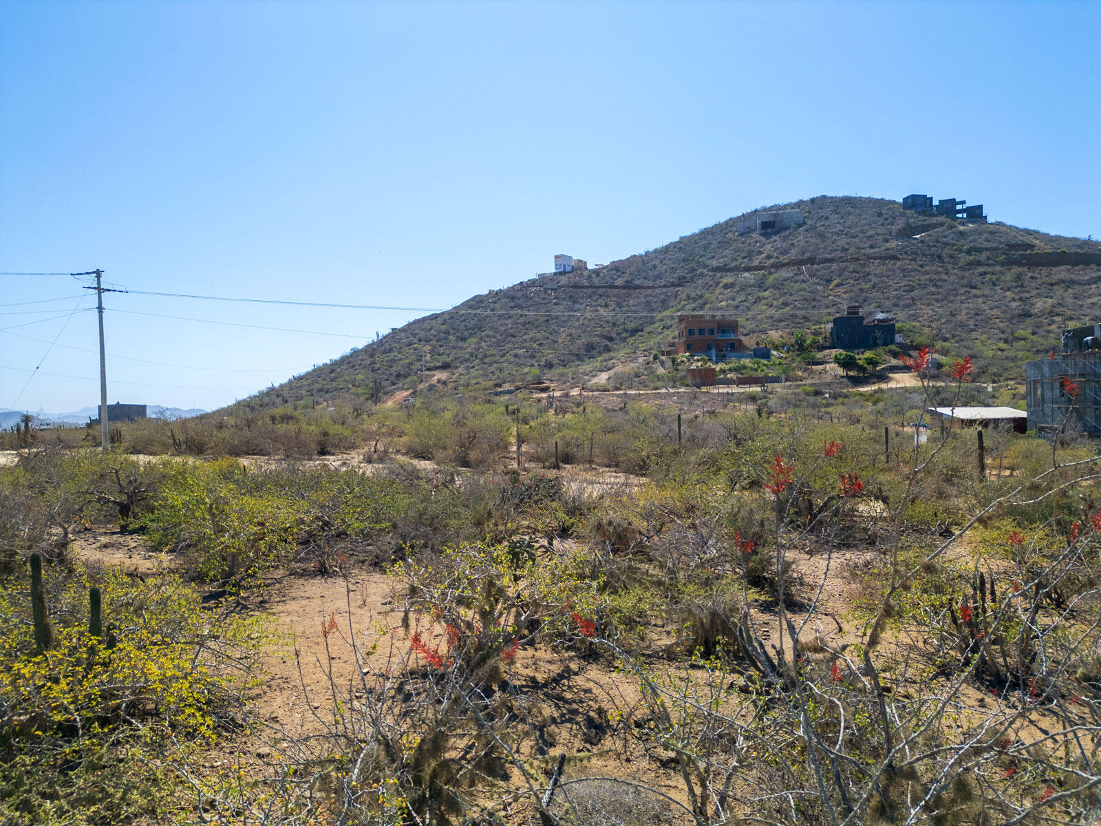 Lote Gavilan 2535 Pacific BCS MLS #24-4885 46 MLS #24-4885 image #5