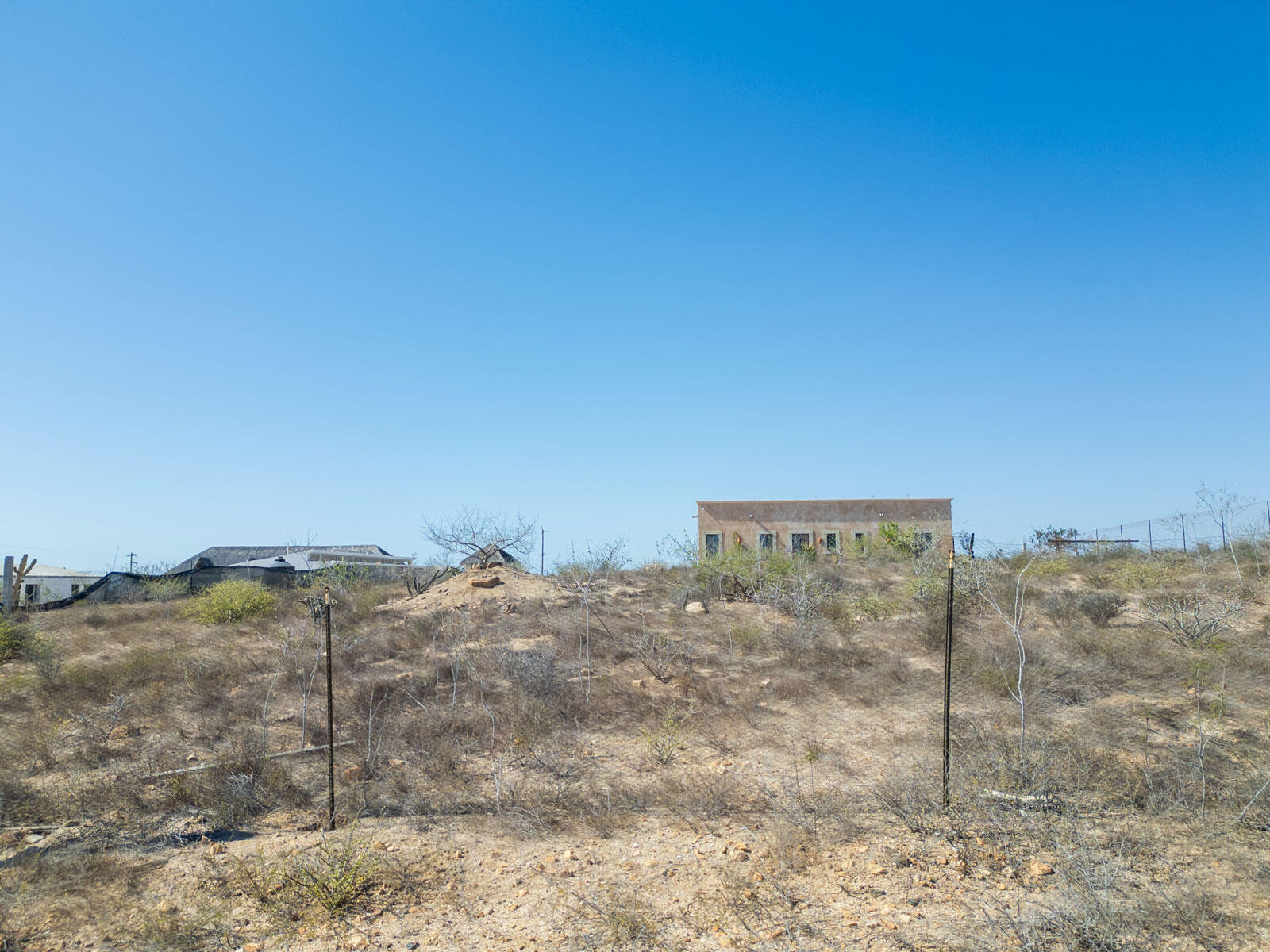 MLS #24-4886 image #8