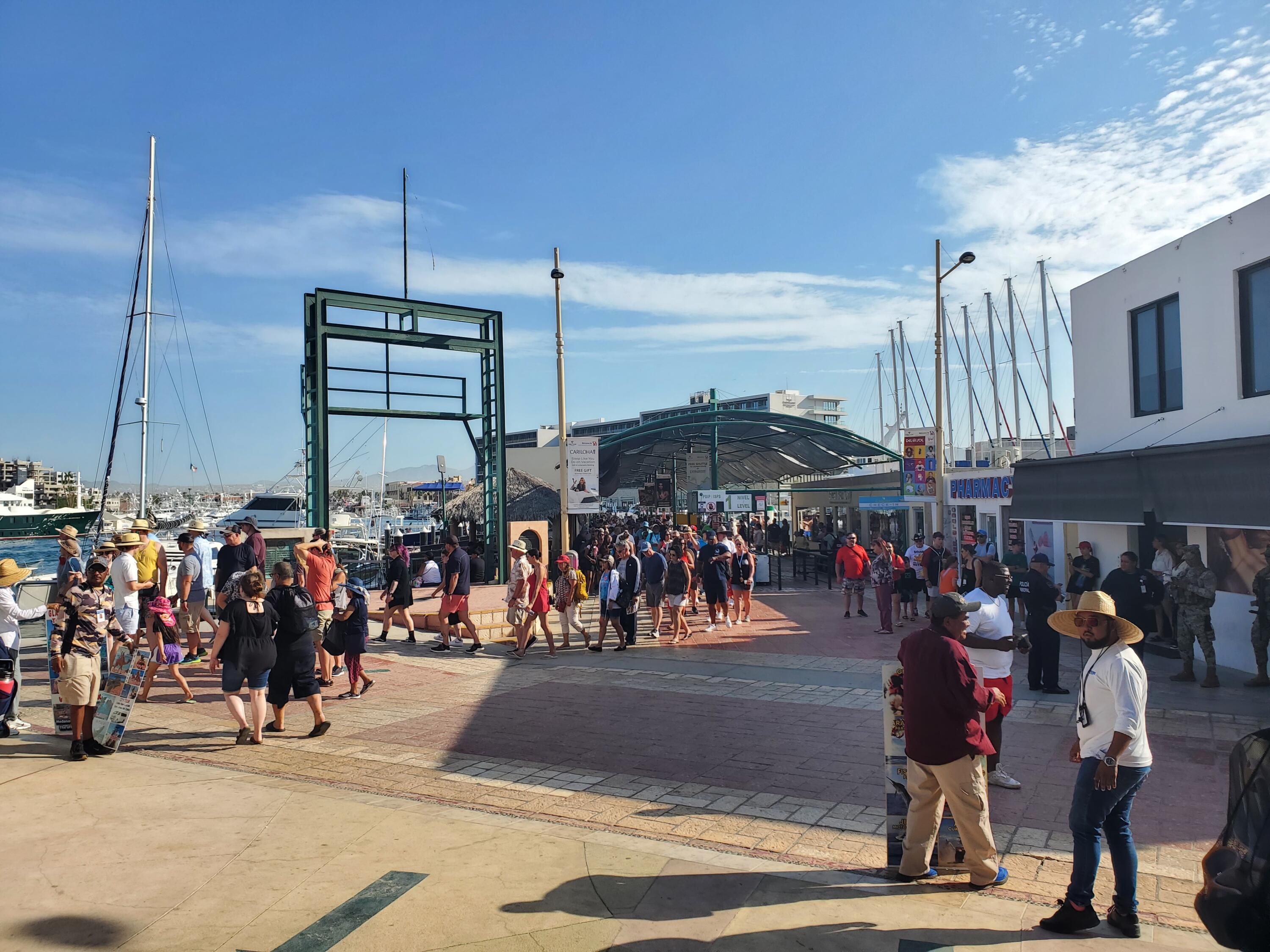 MLS #24-4905 image #2