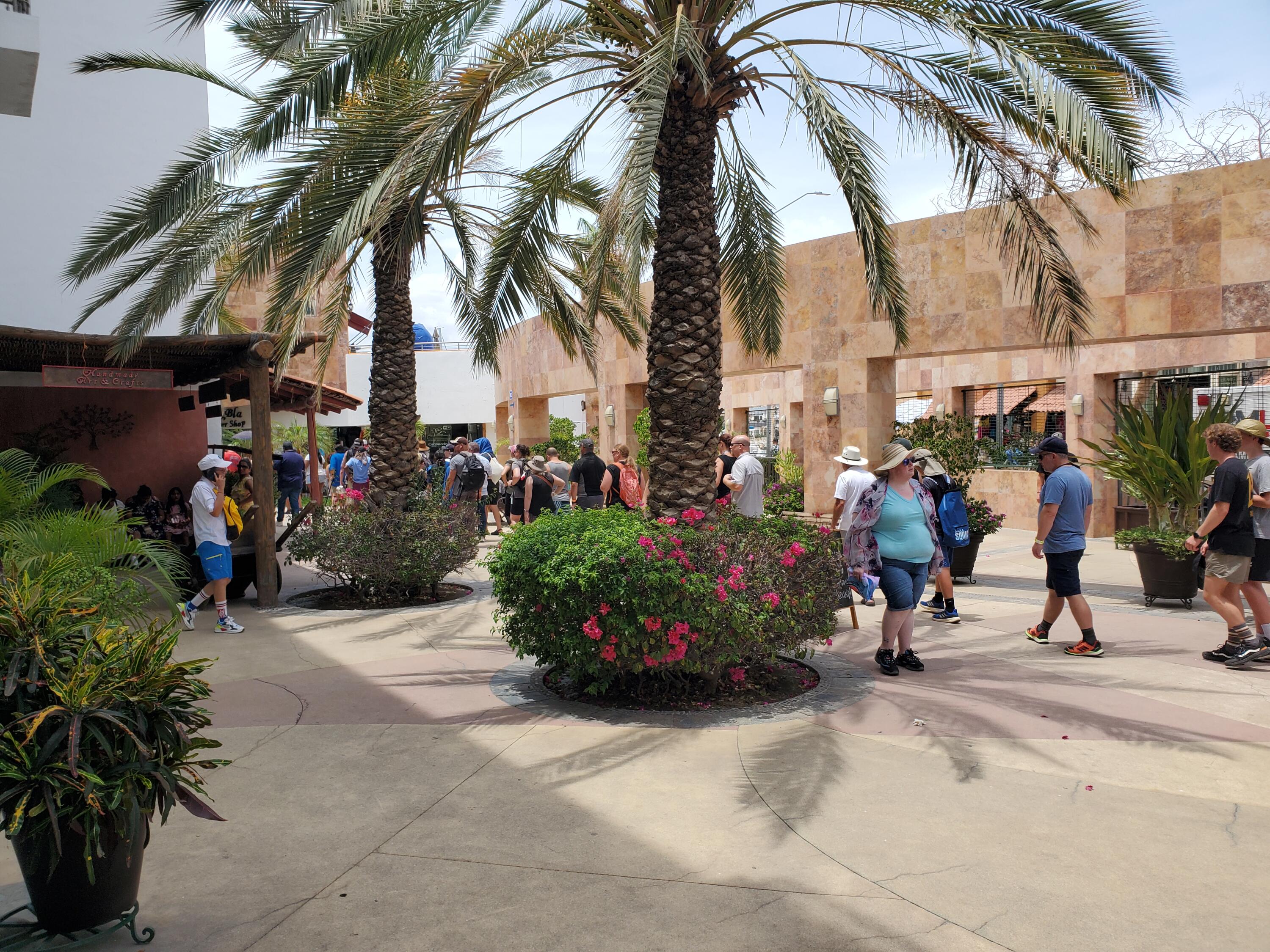 MLS #24-4905 image #3