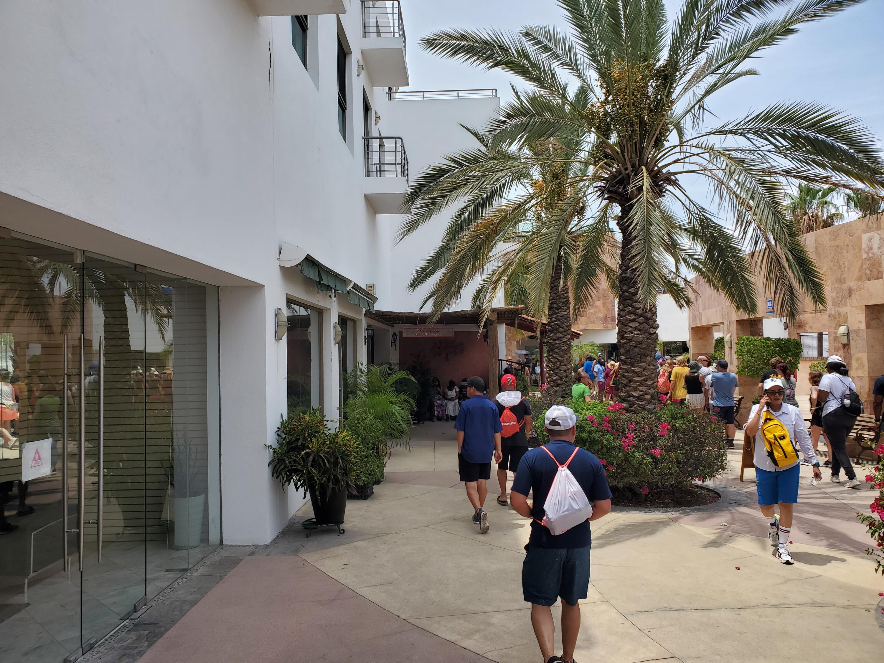 MLS #24-4905 image #4