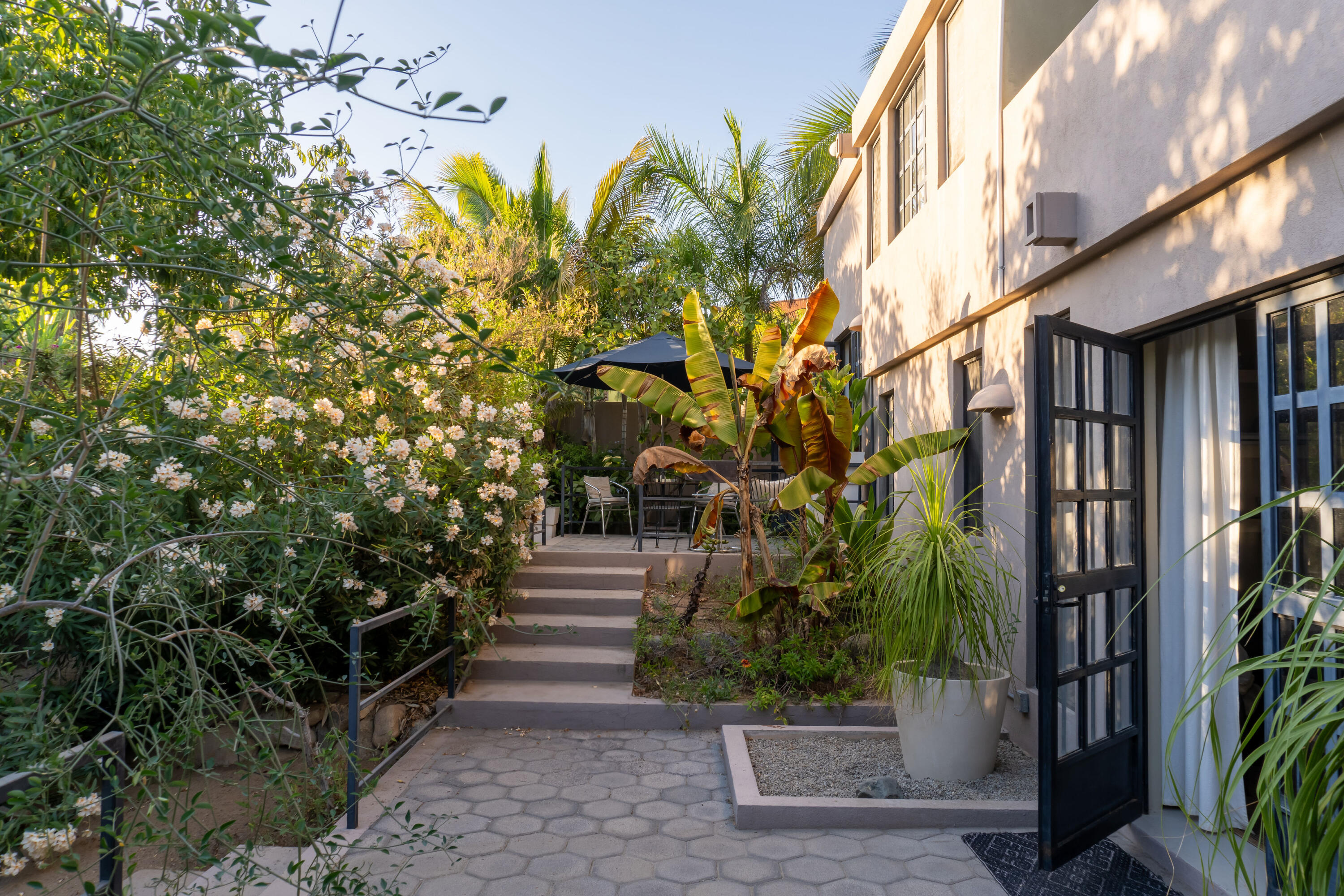 MLS #24-4912 image #14