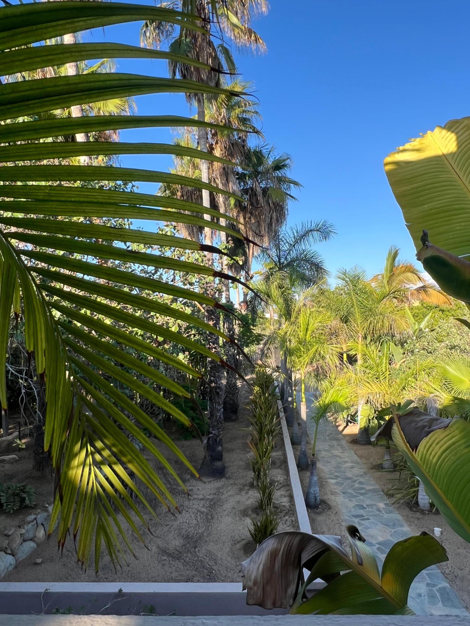 MLS #24-4912 image #31